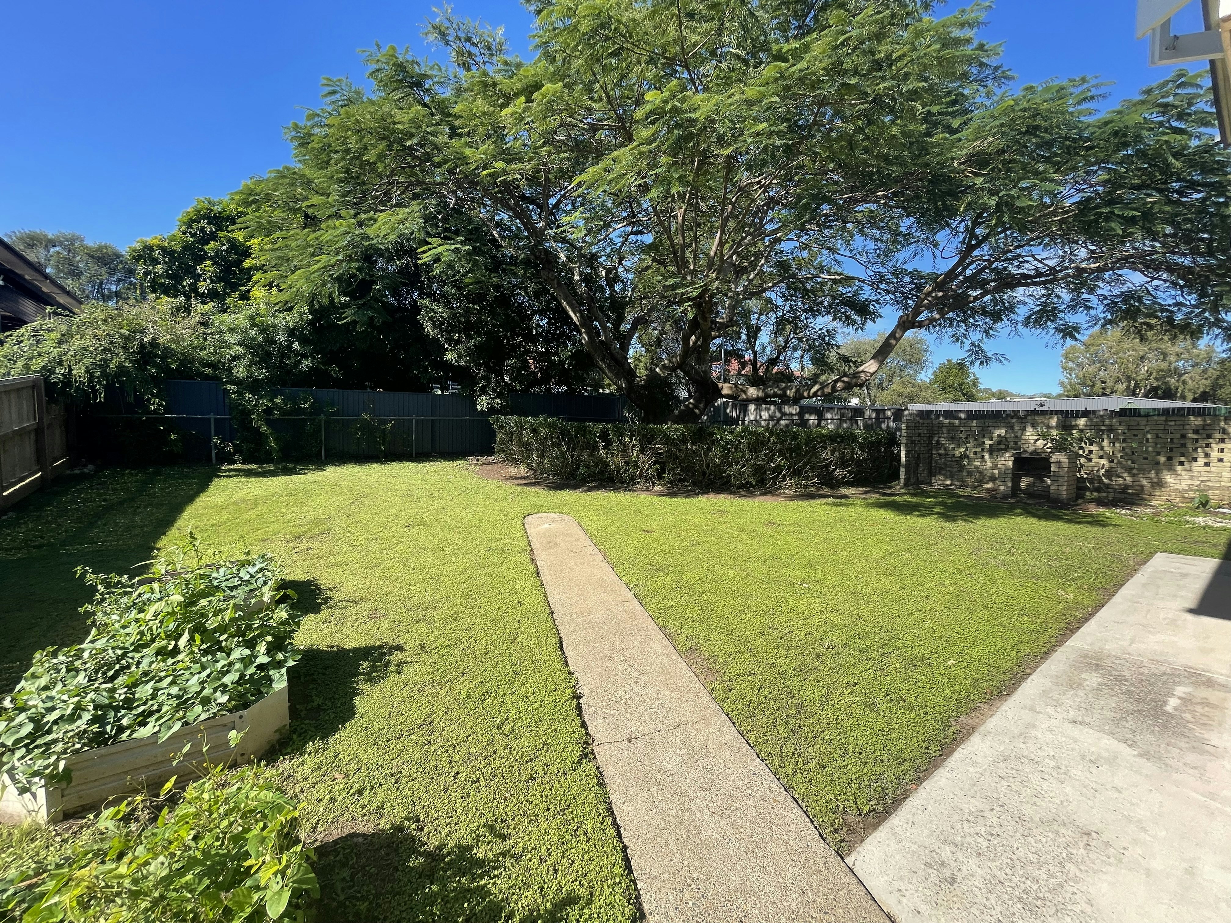 Image of backyard