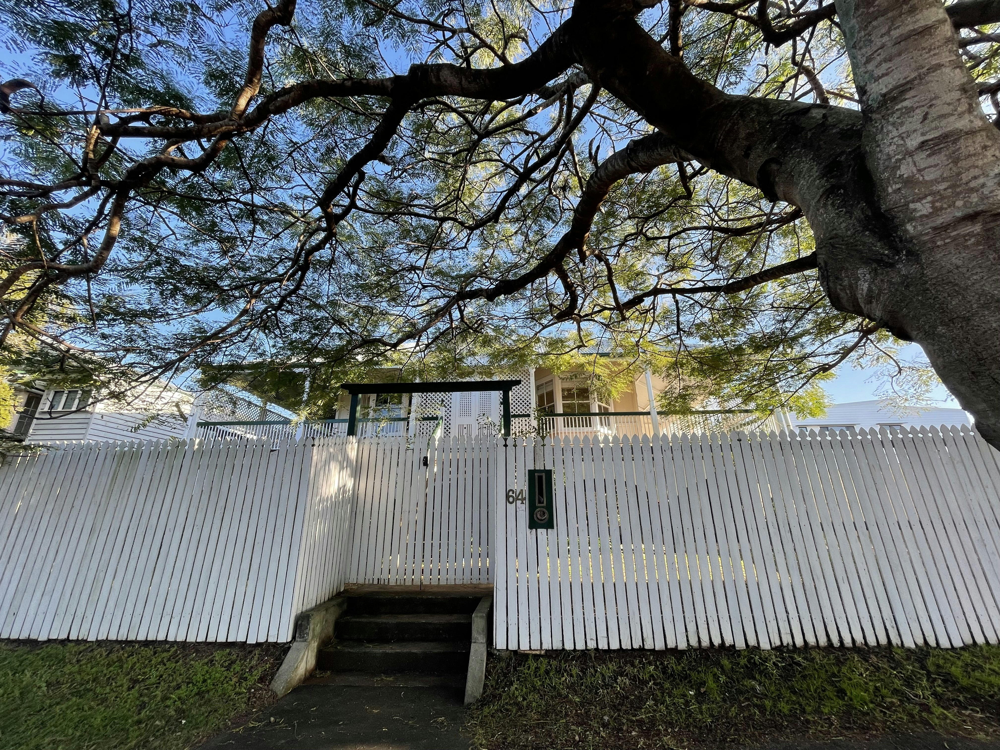 Image of nature