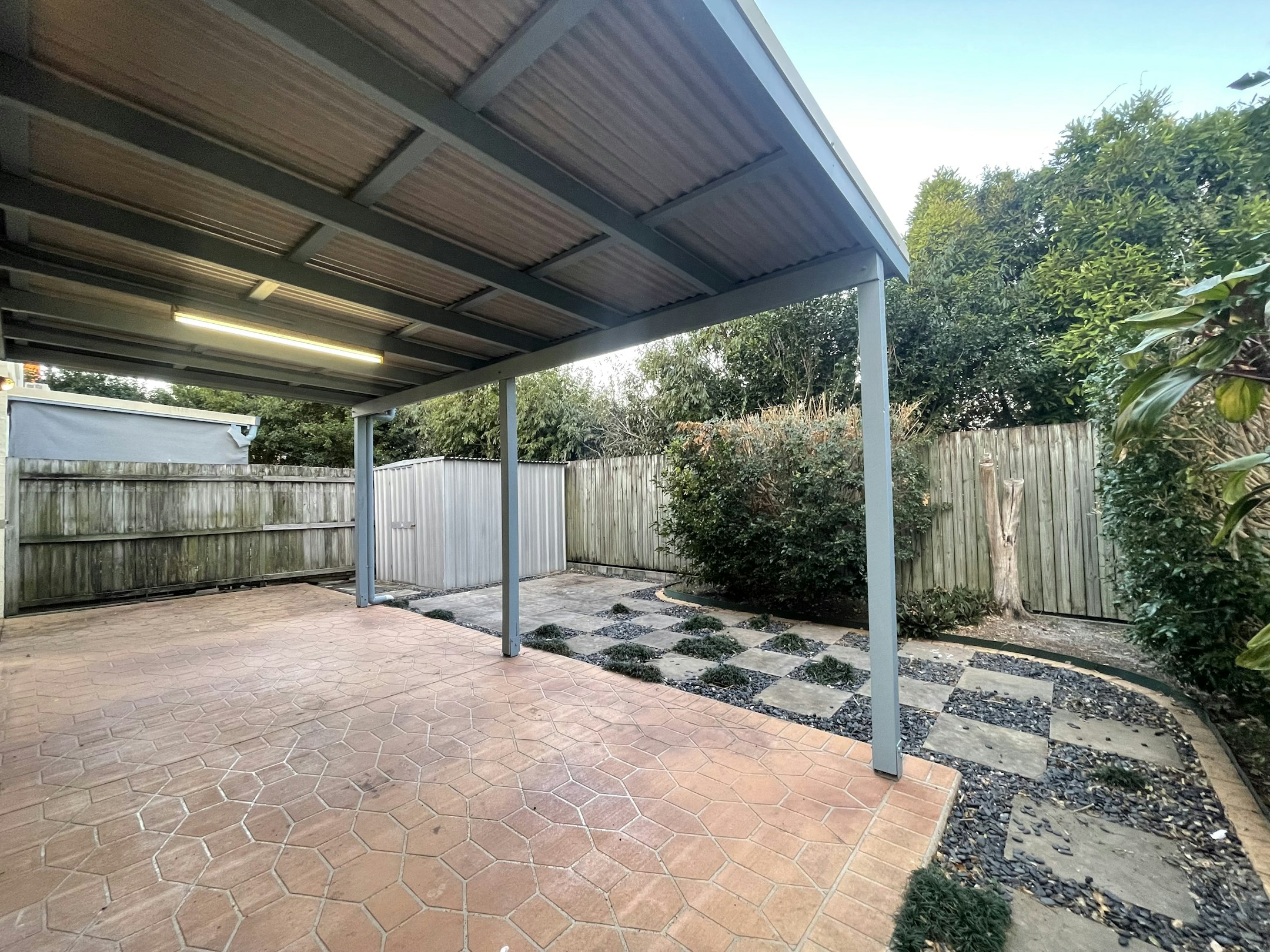 backyard