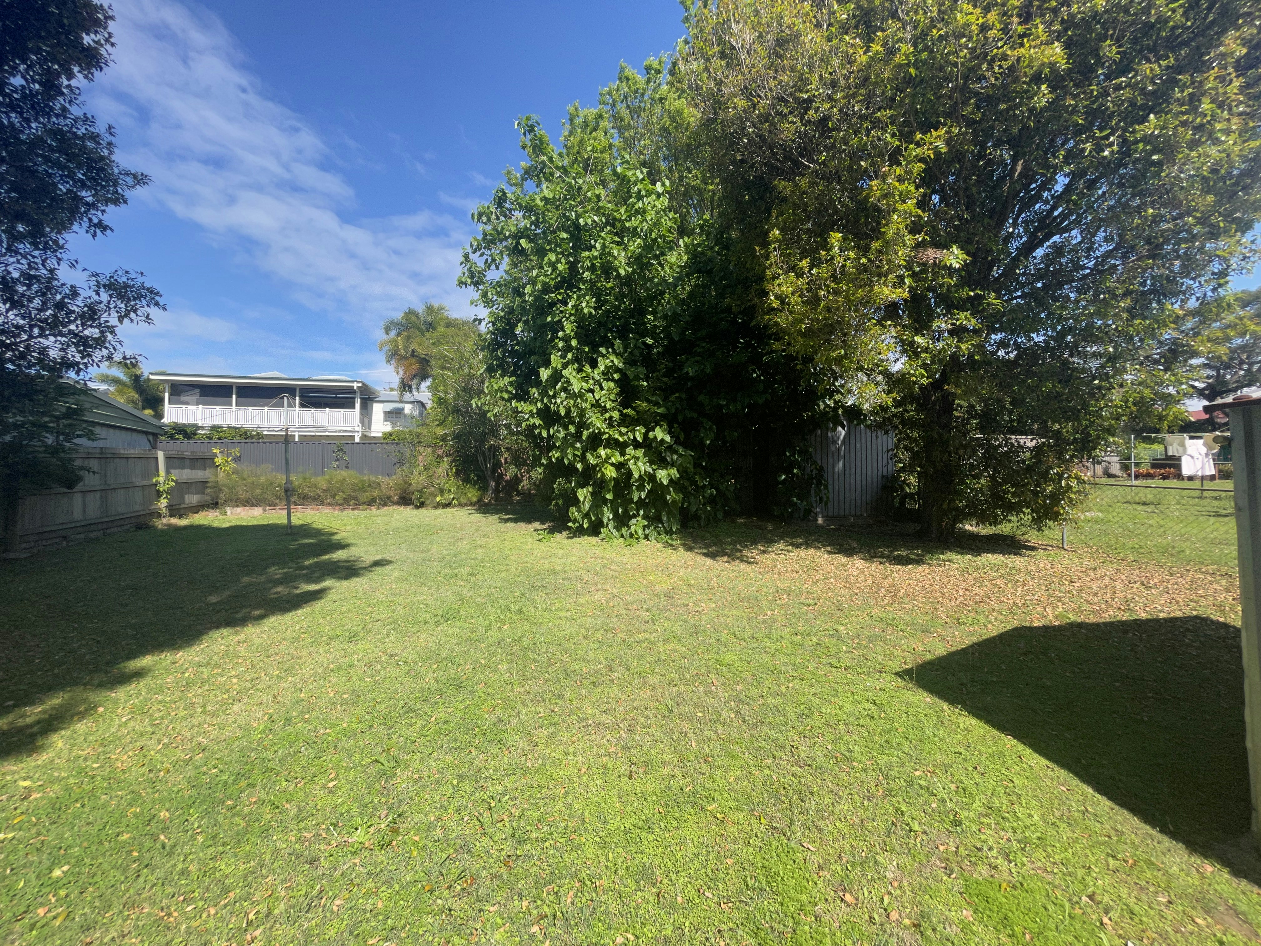 Image of grass