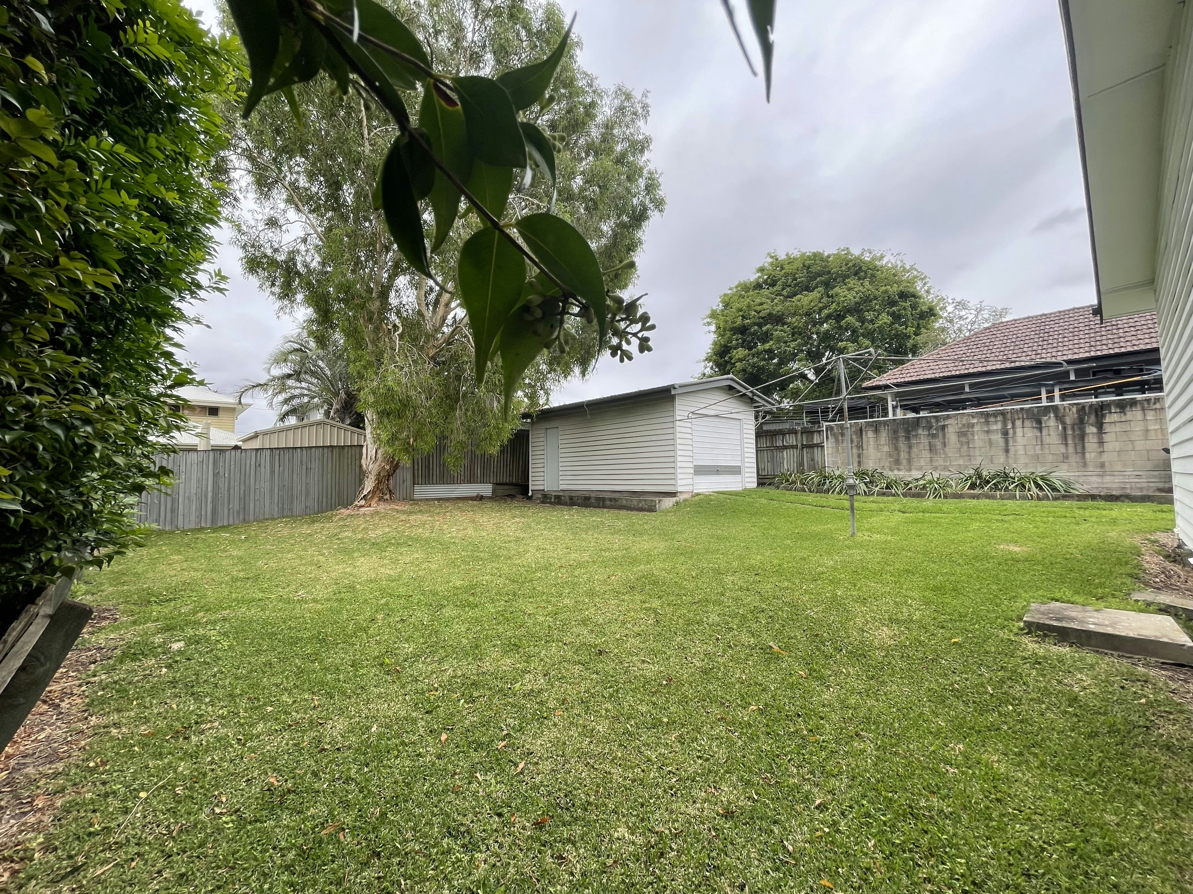 Image of backyard