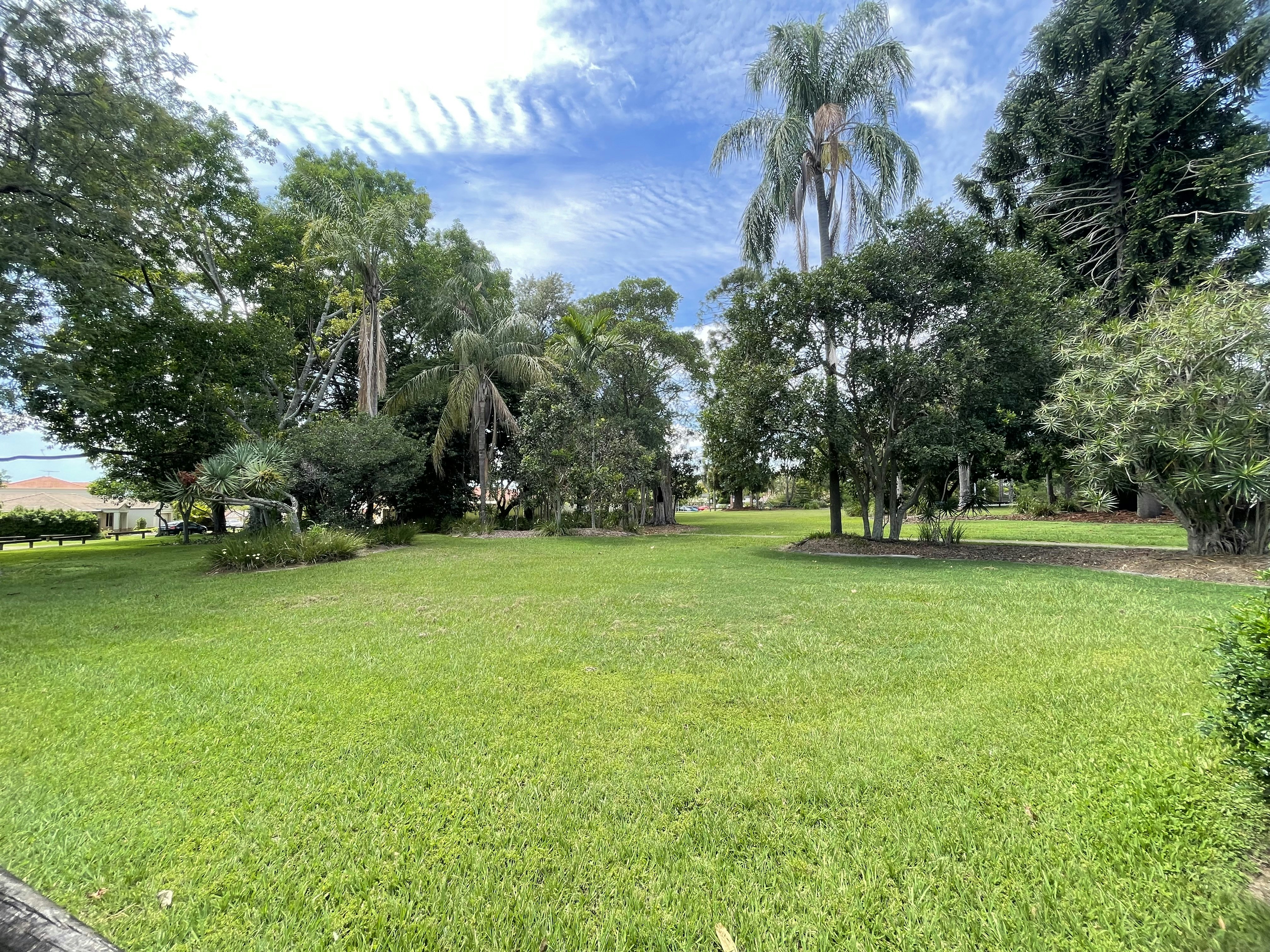 Image of grass