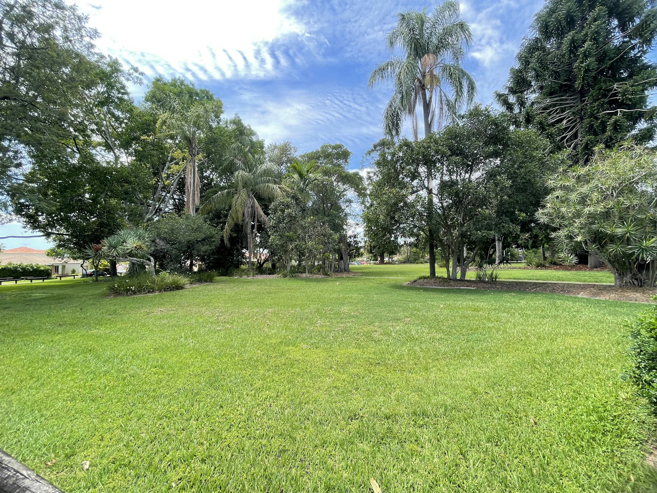 grass