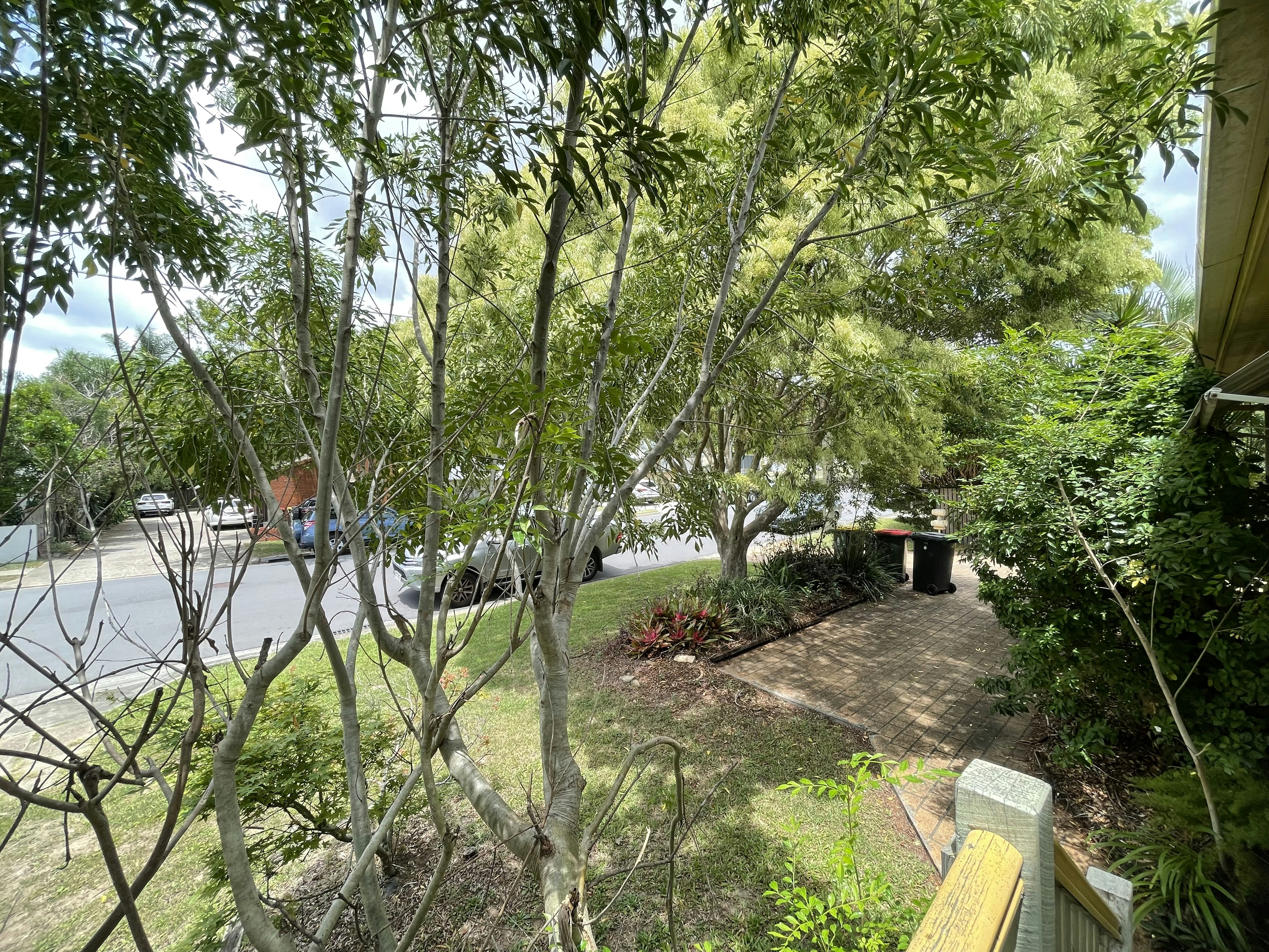 Image of garden