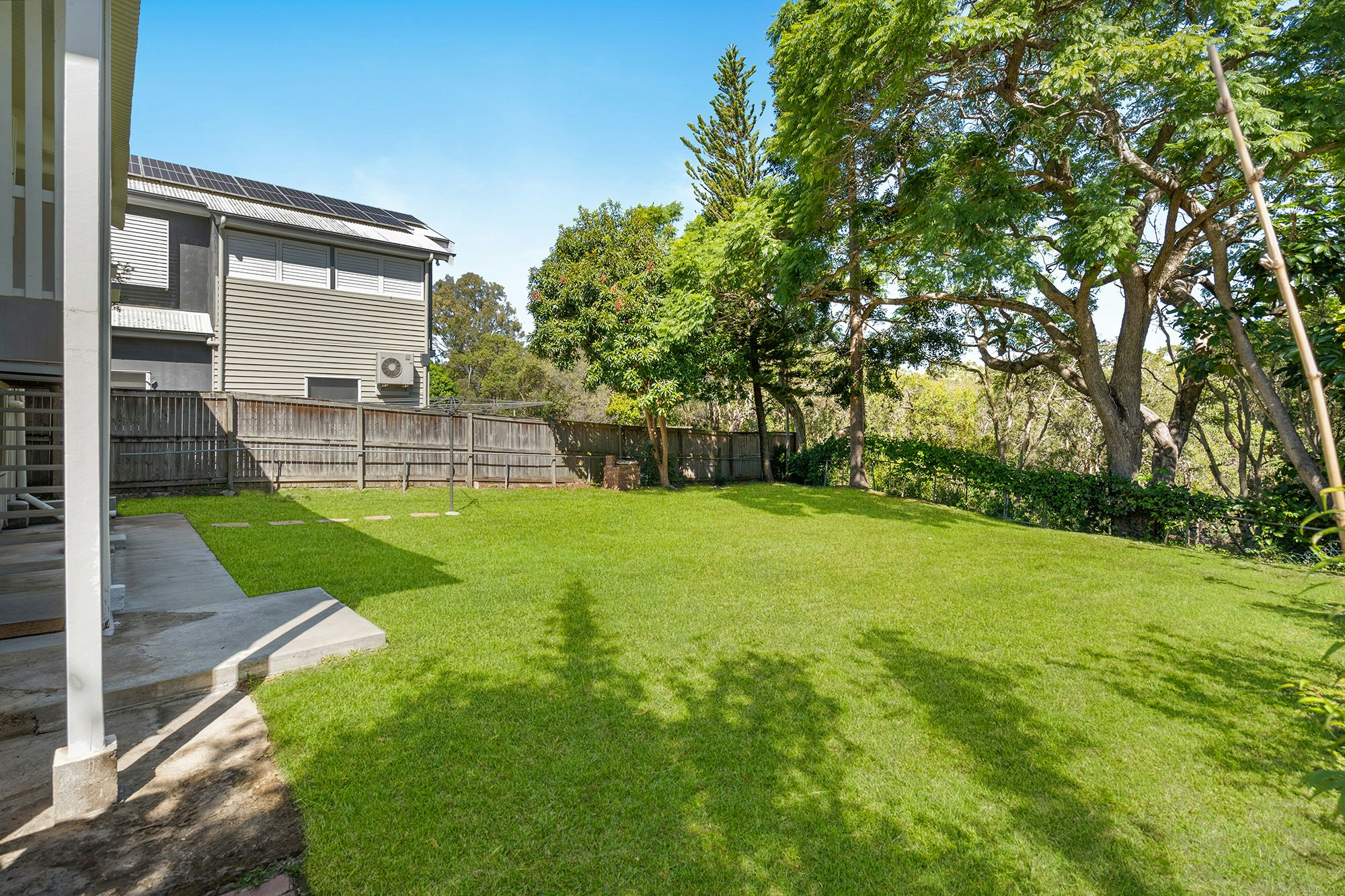 Image of backyard