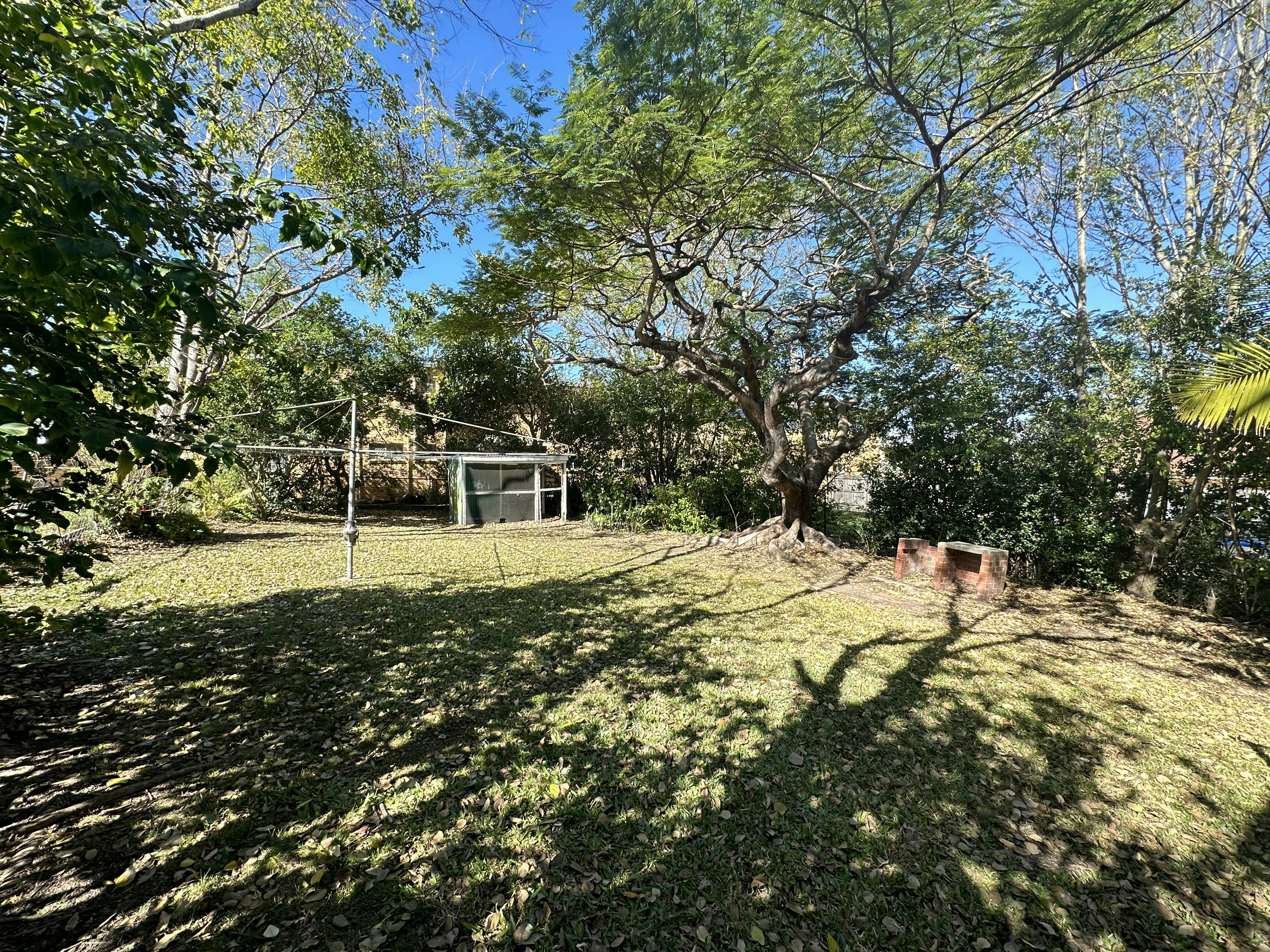 Image of vegetation
