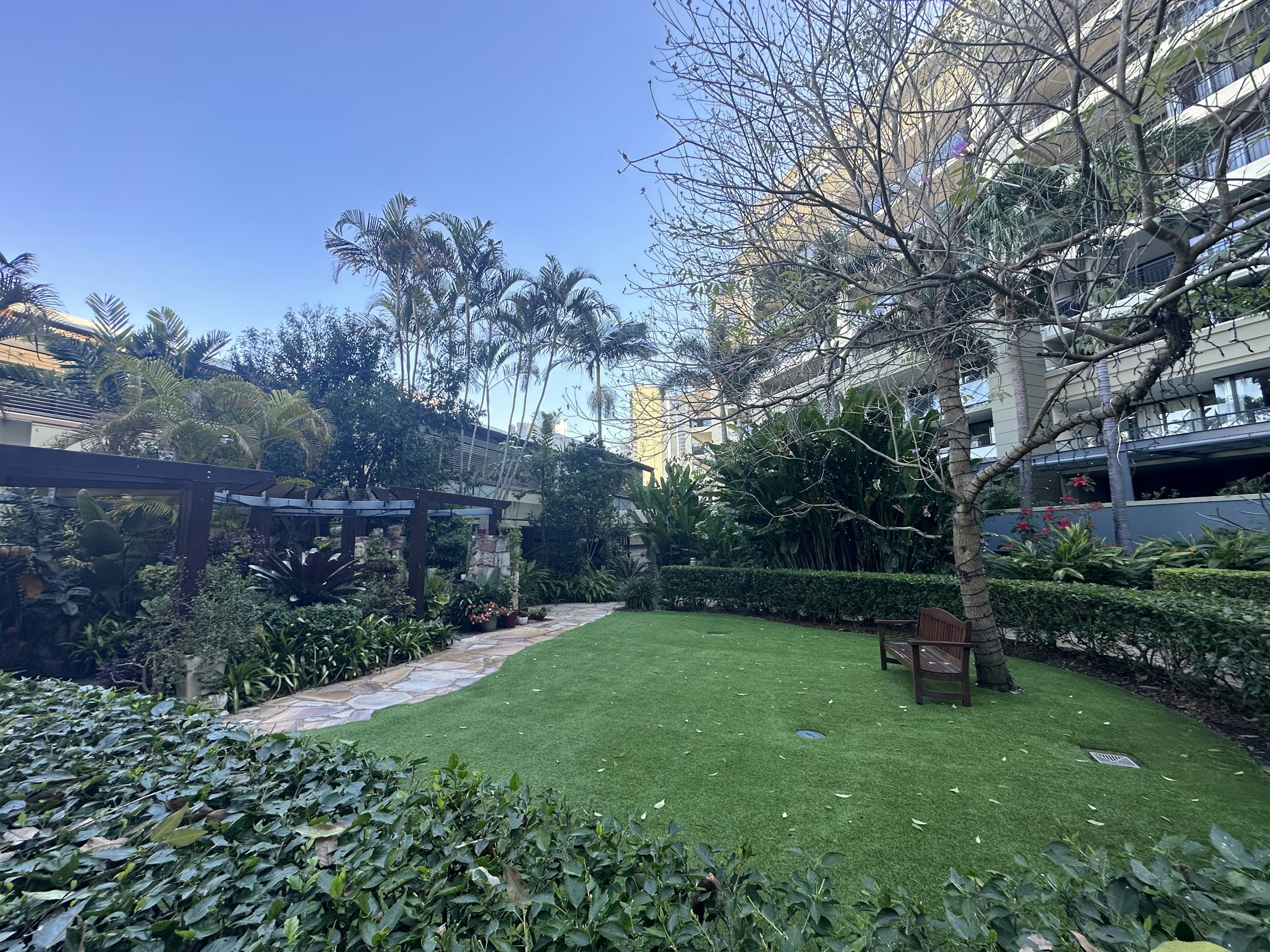 garden