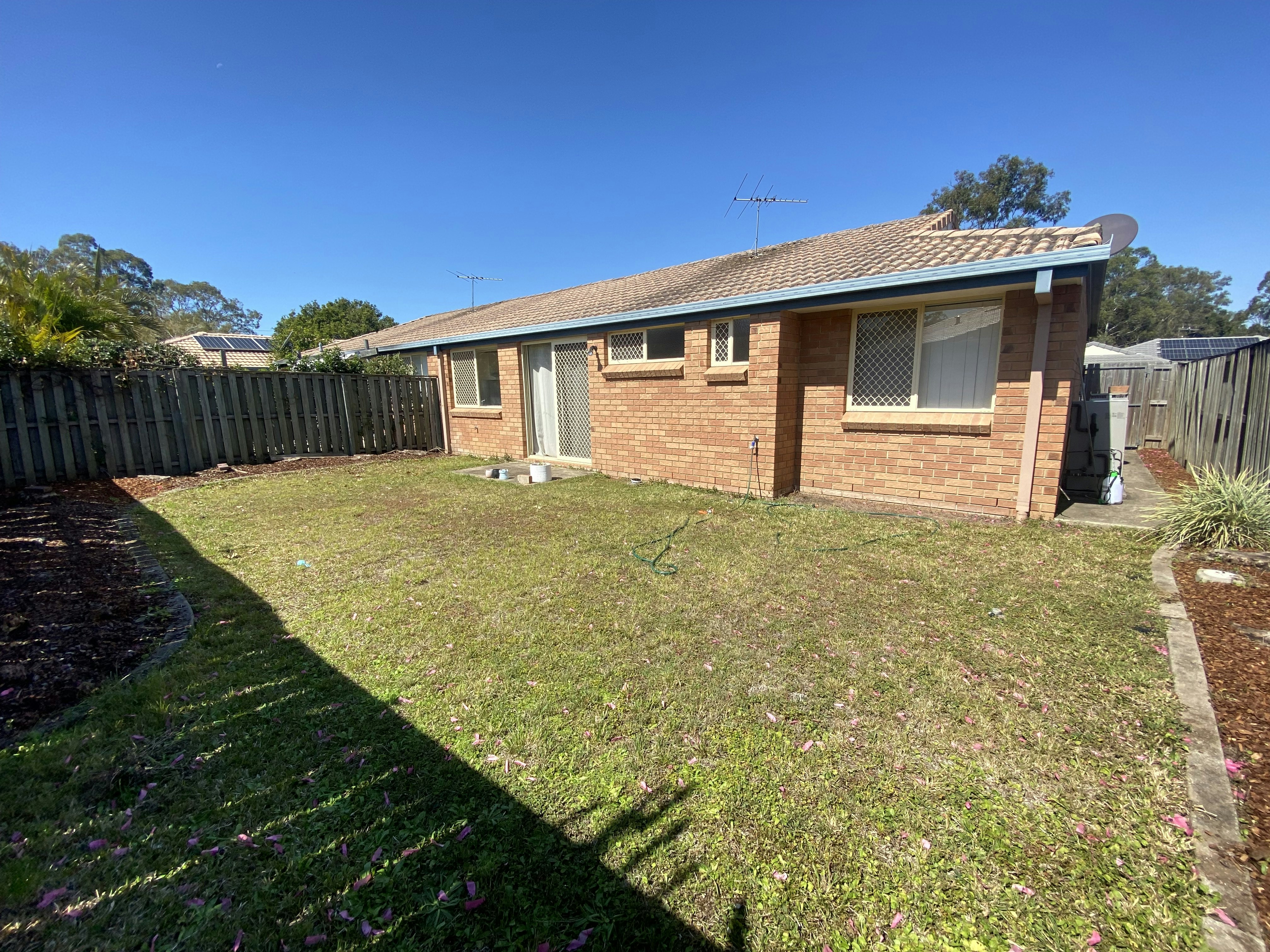 Image of backyard