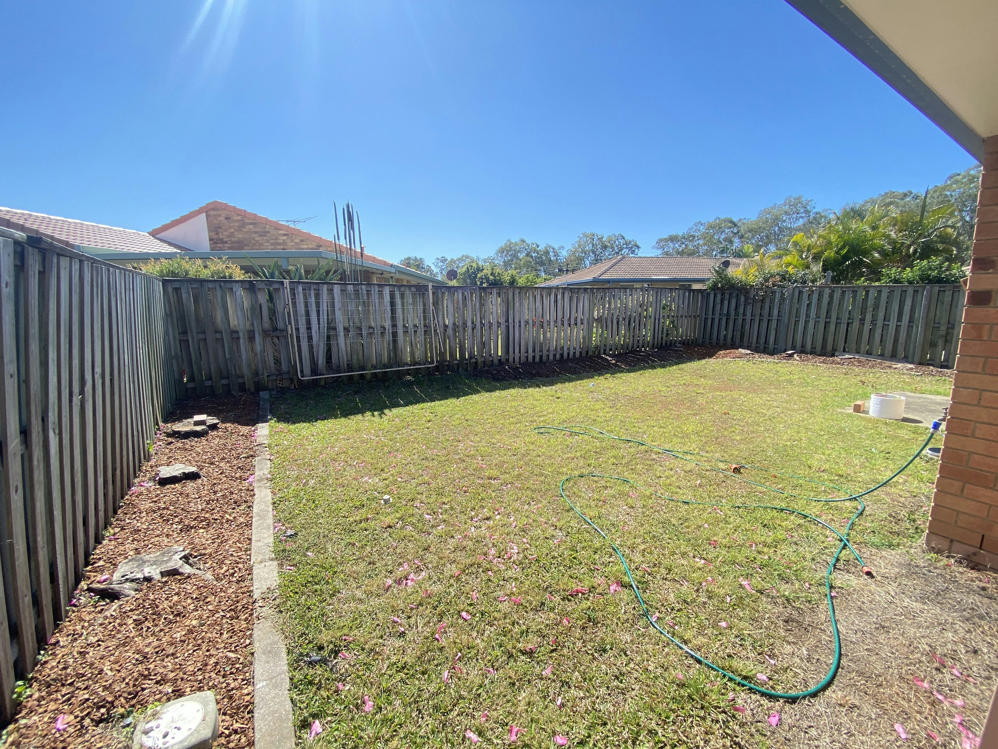 Image of backyard