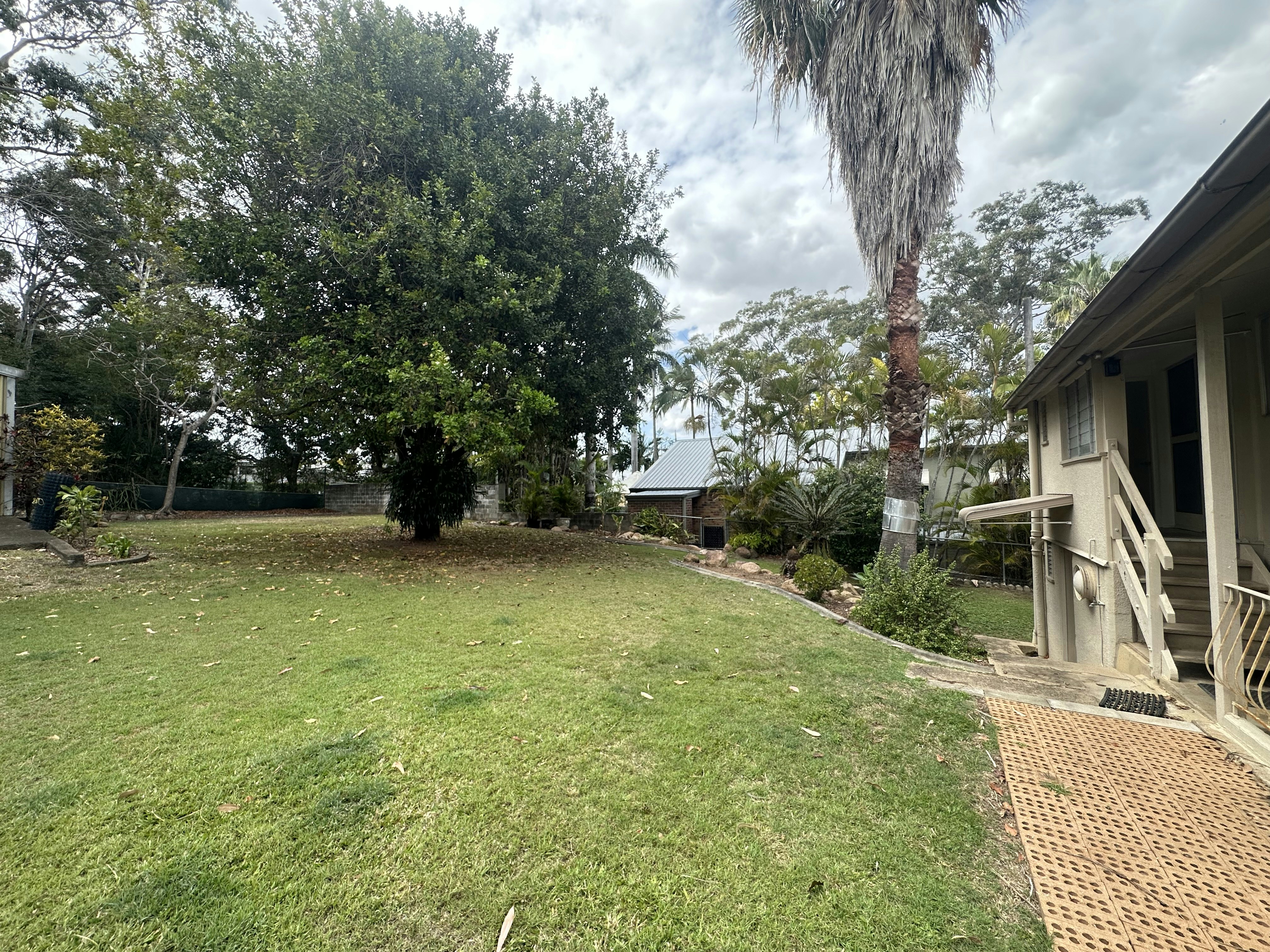 Image of grass