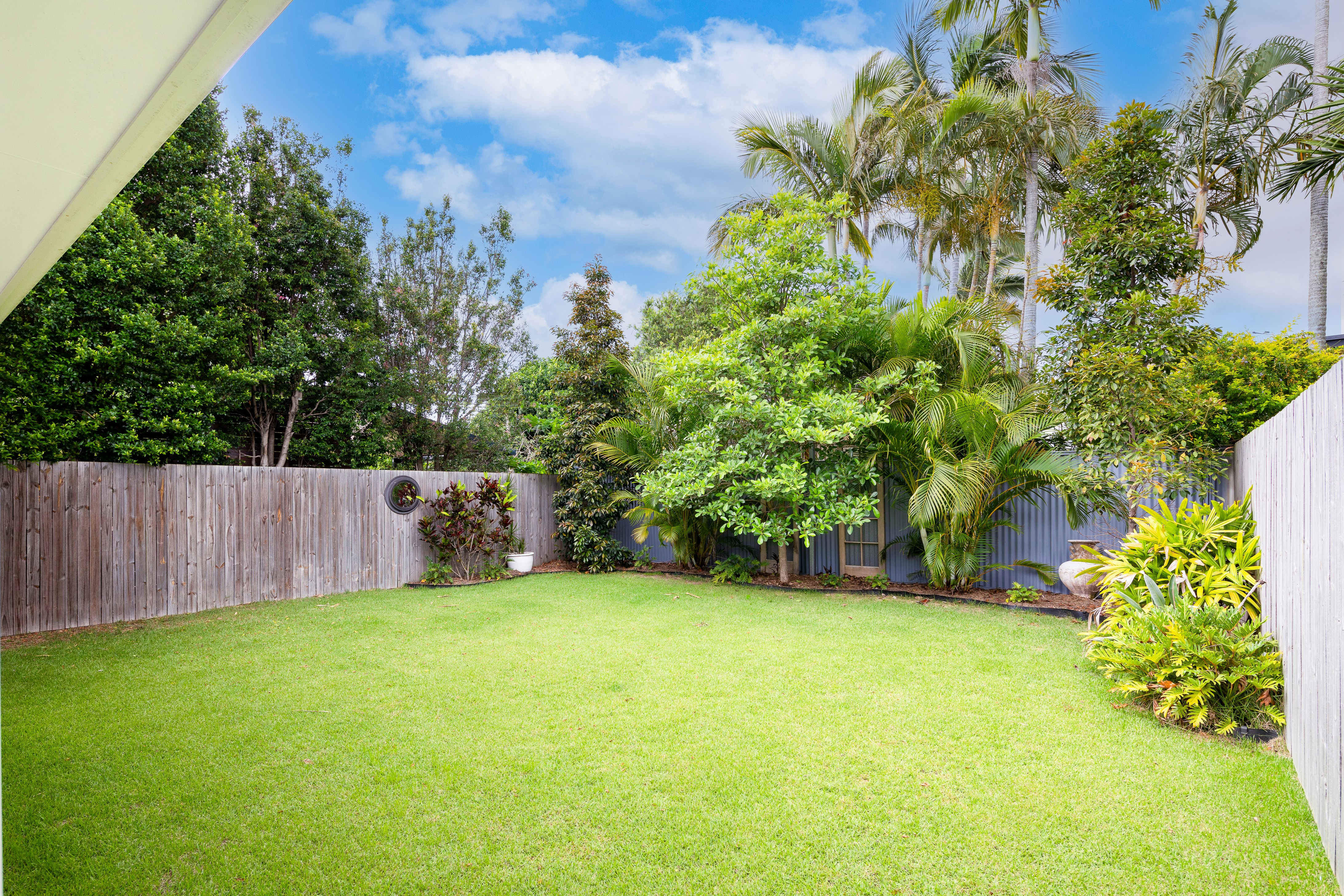 Image of backyard