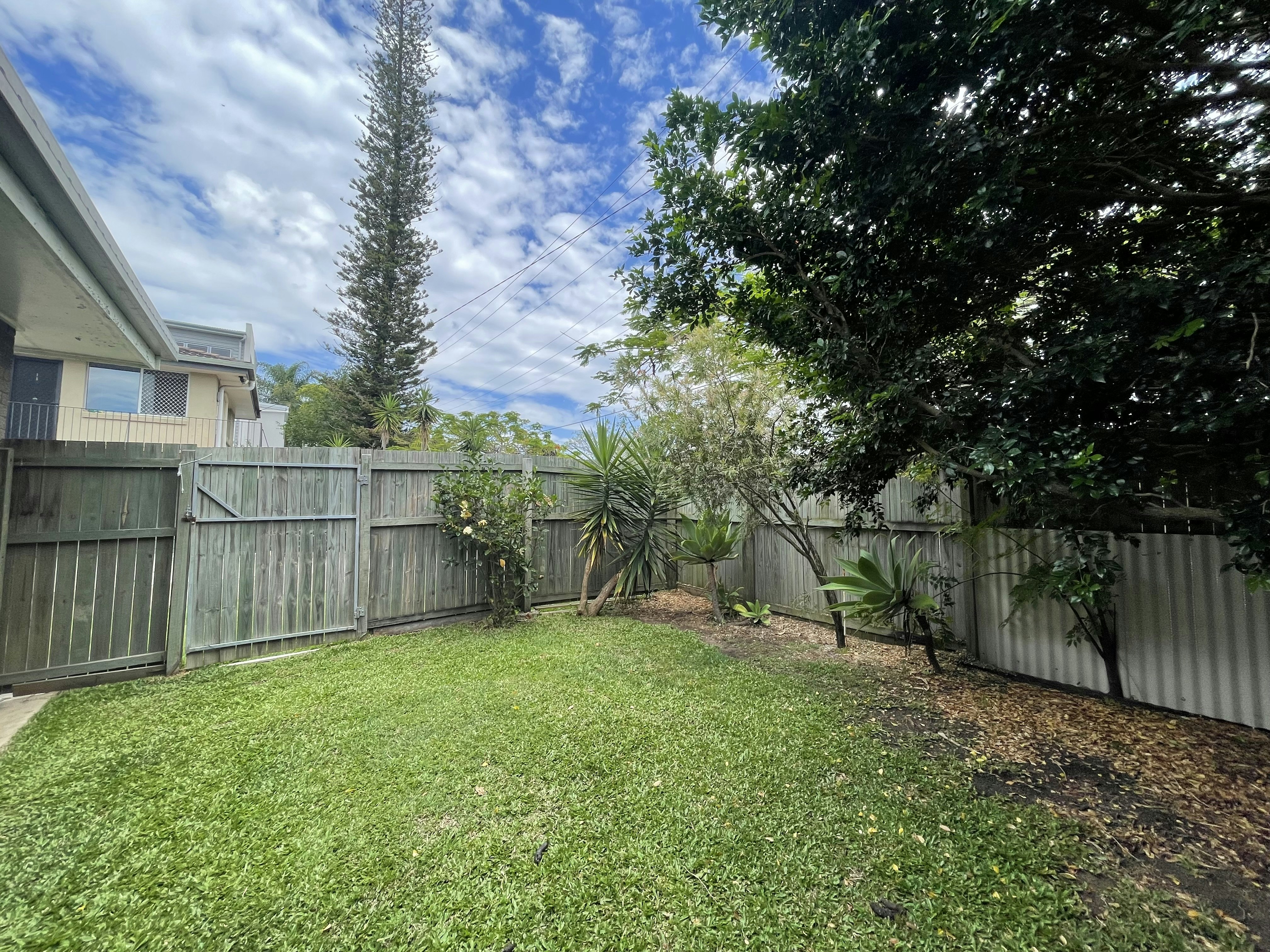 Image of backyard