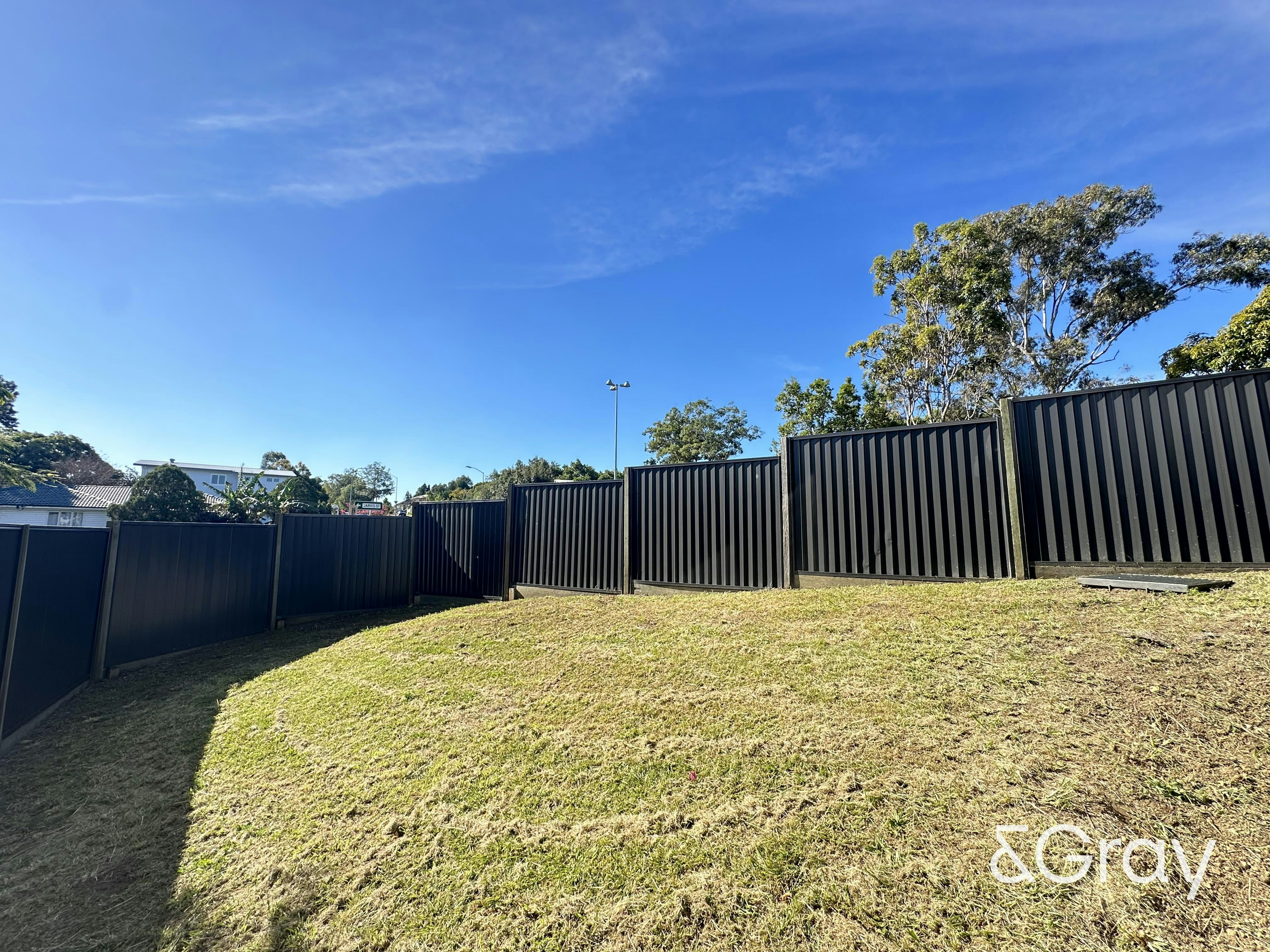Image of backyard