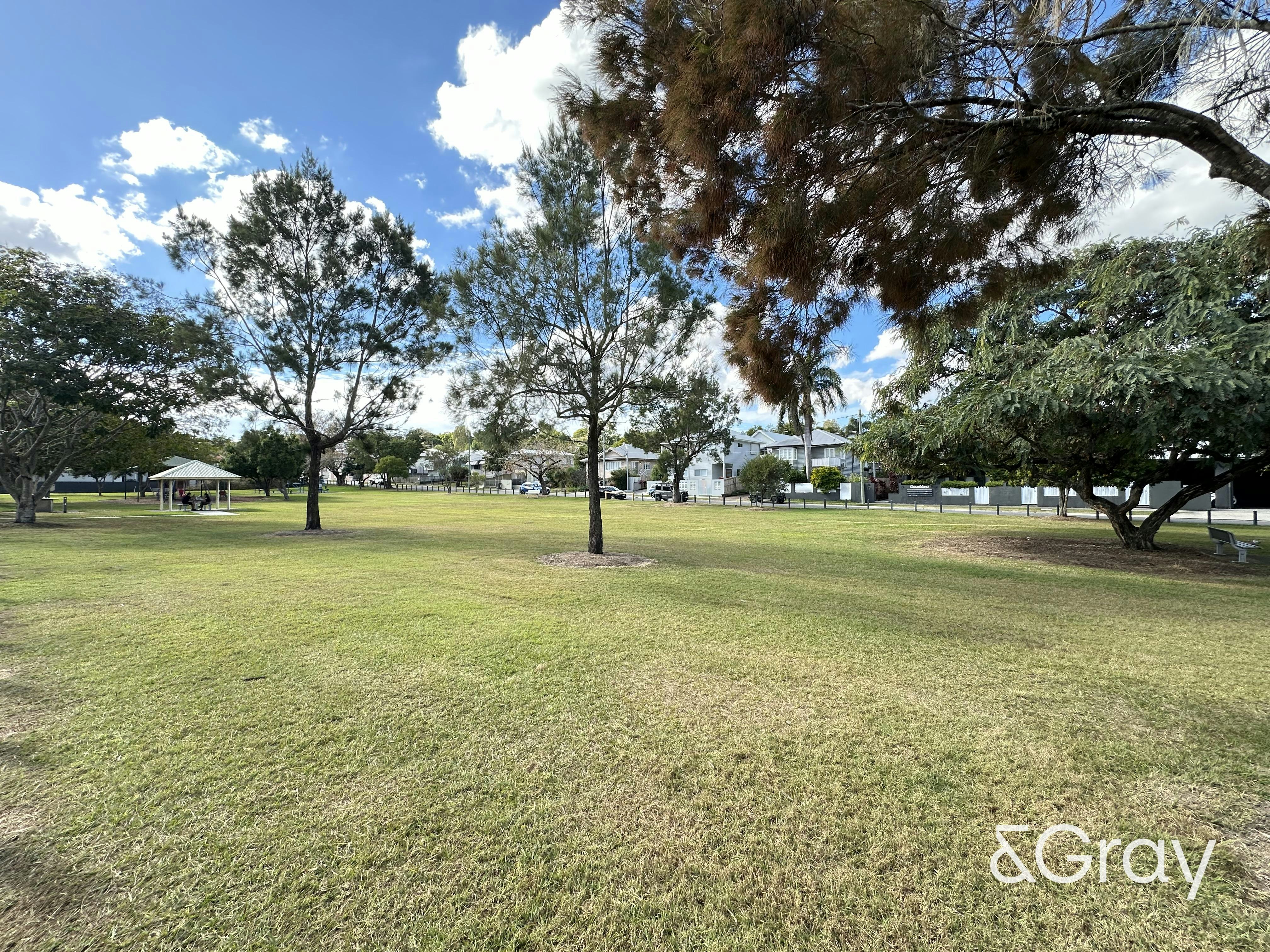 Image of grass
