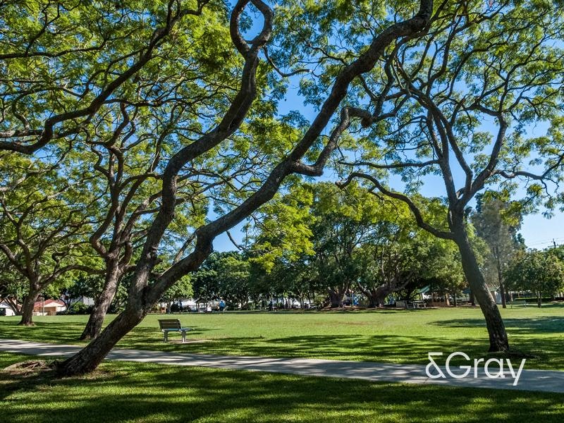 Image of grass