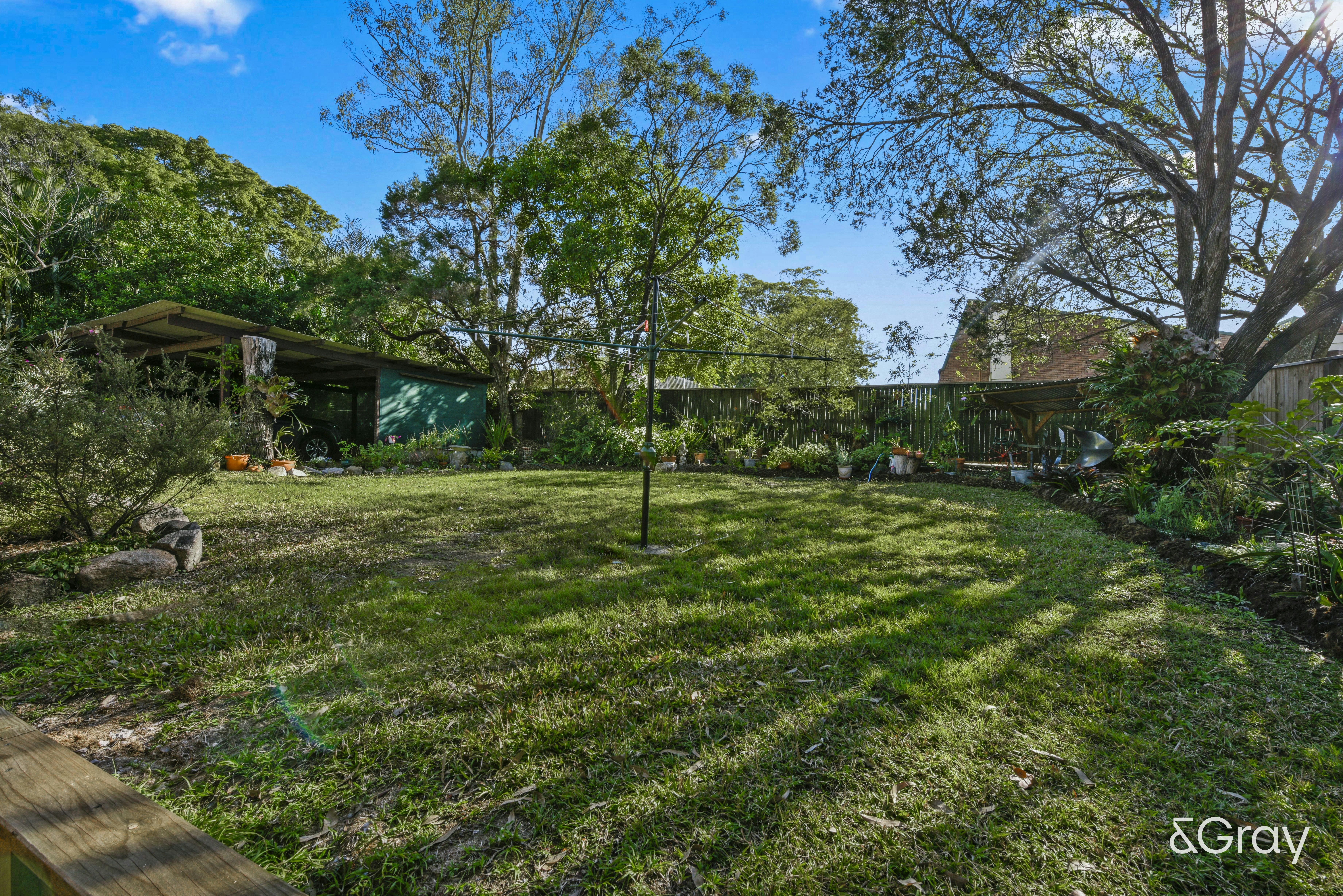 Image of grass