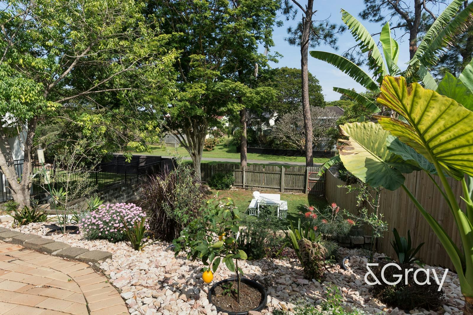 Image of backyard