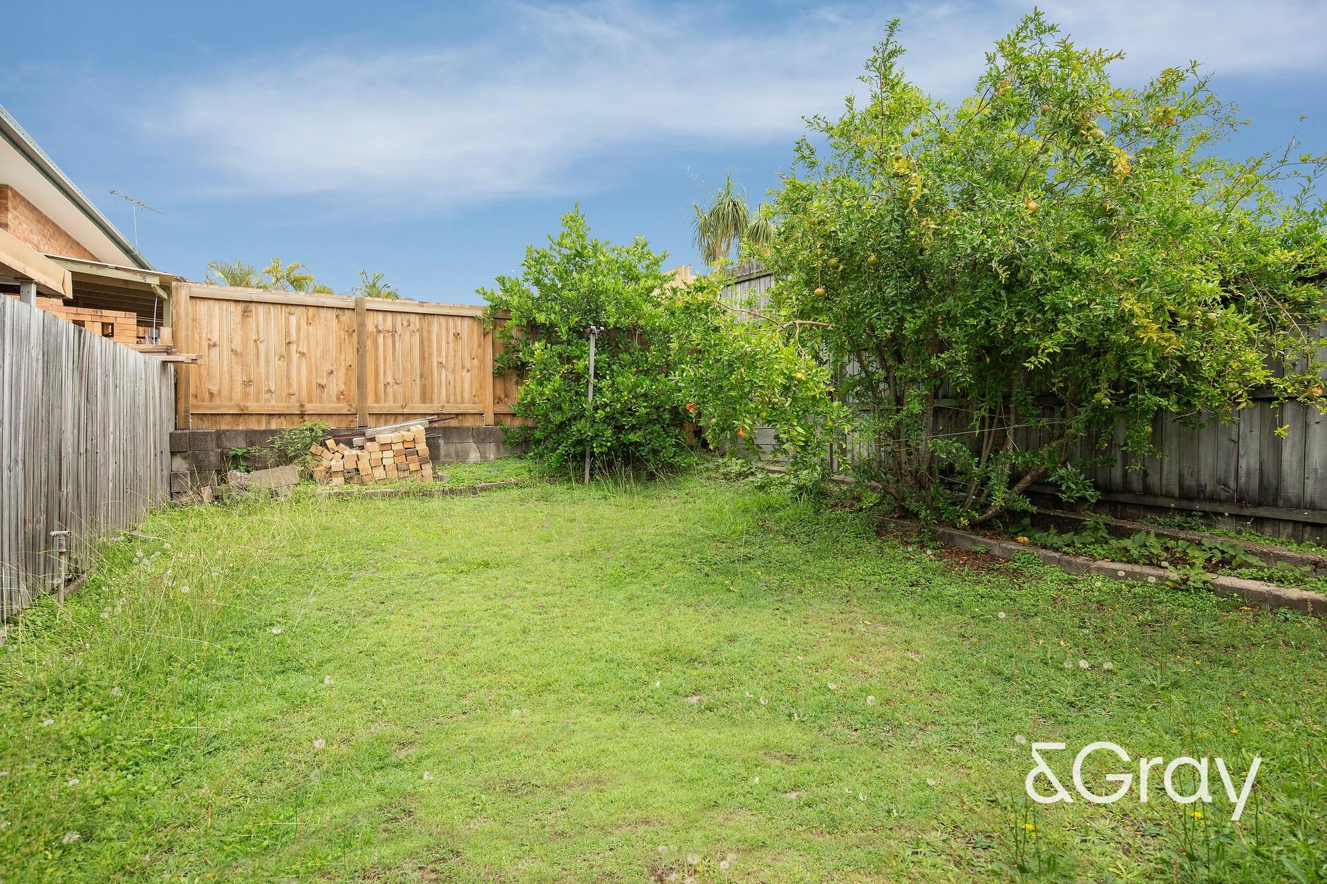 Image of backyard