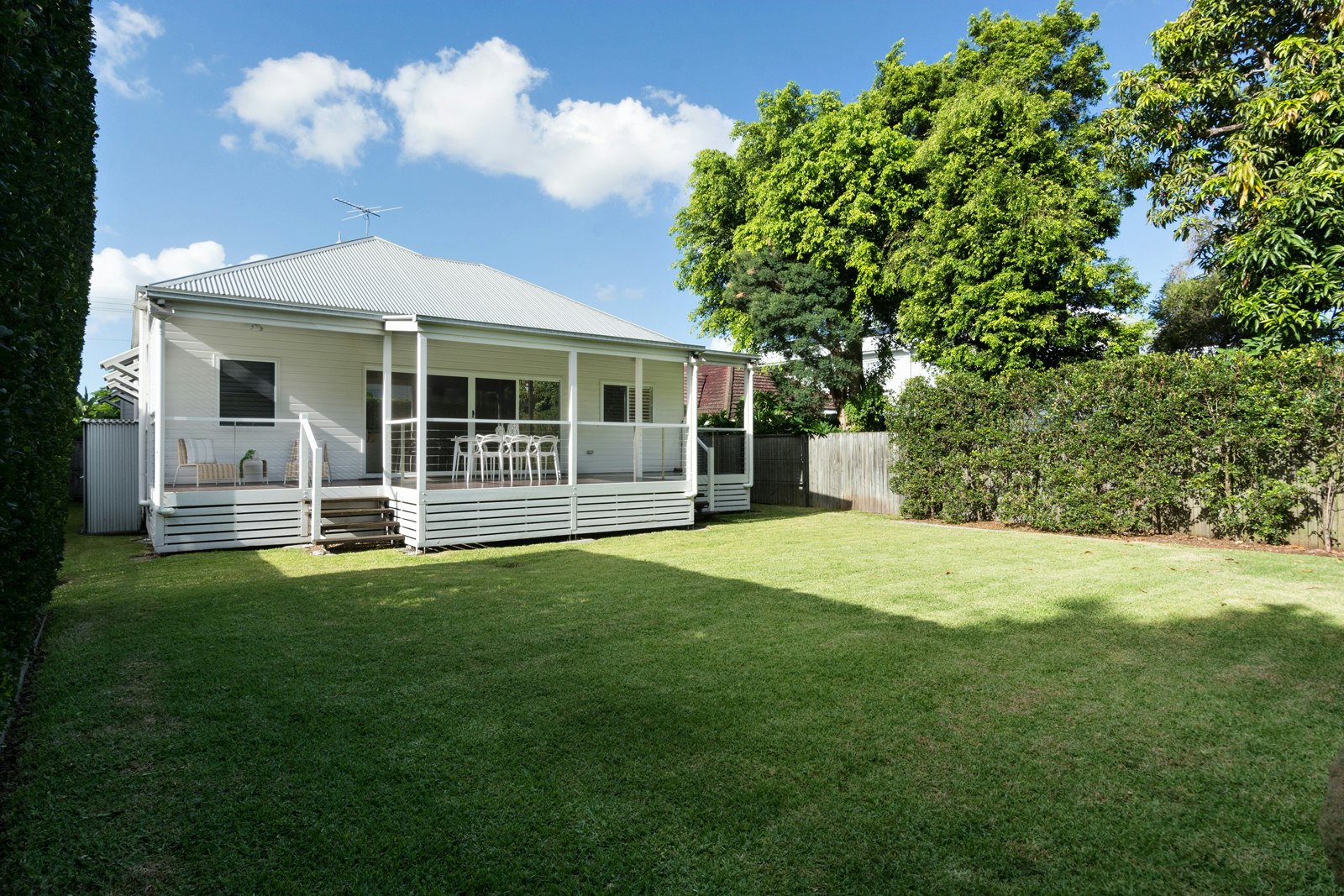Image of grass