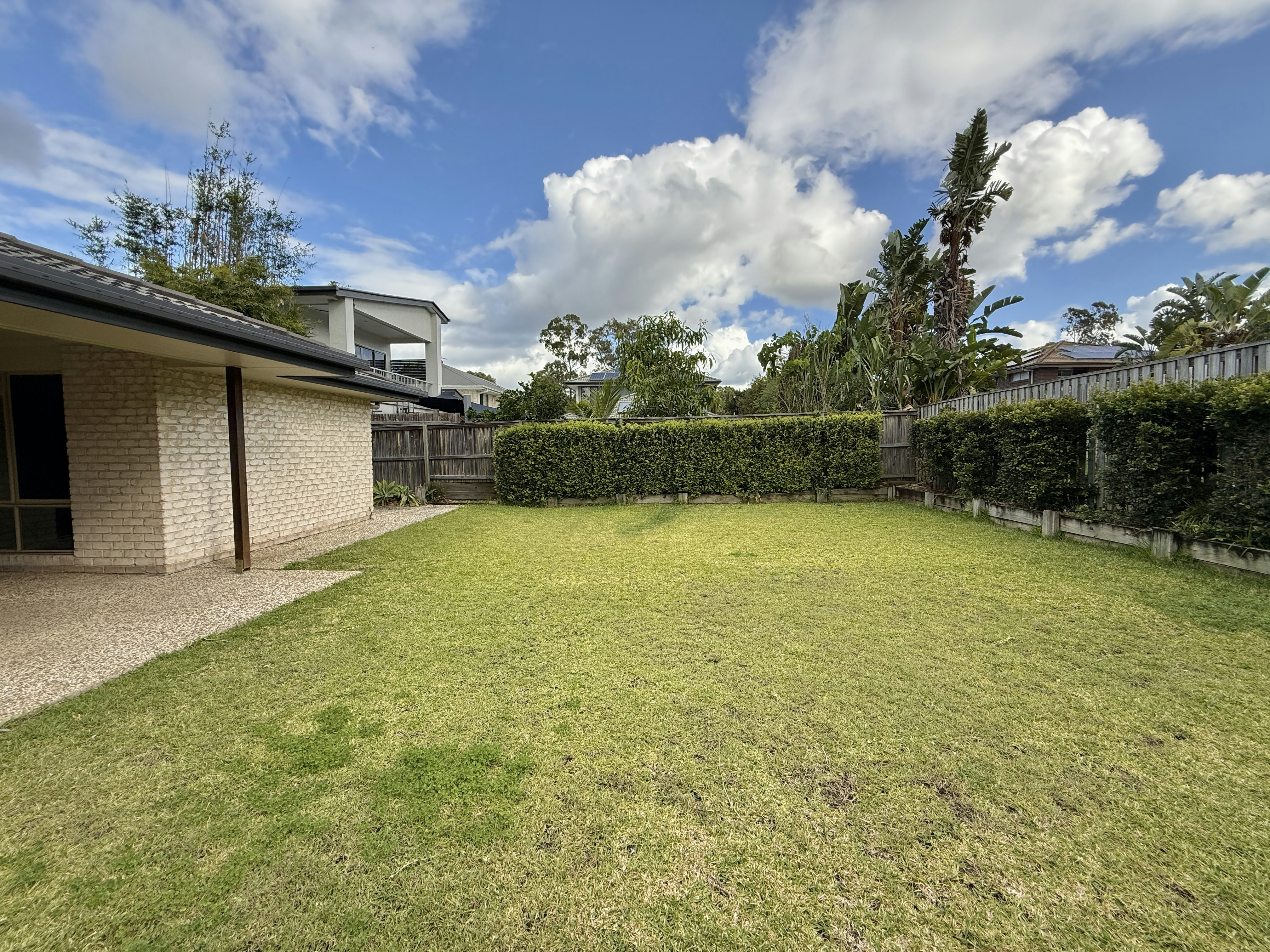Image of backyard