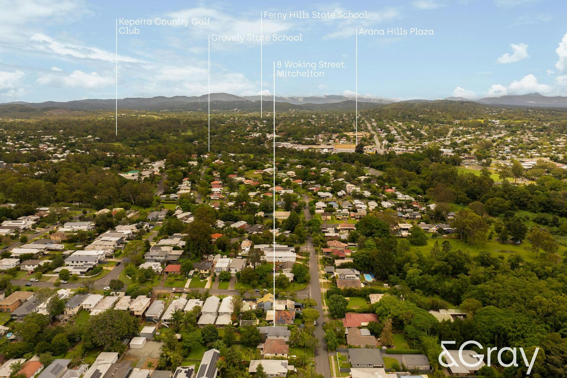 neighborhood