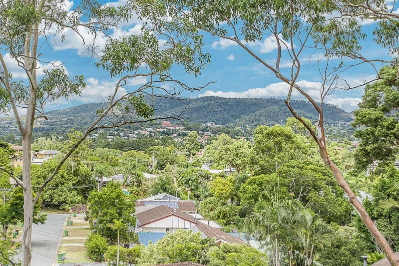 vegetation