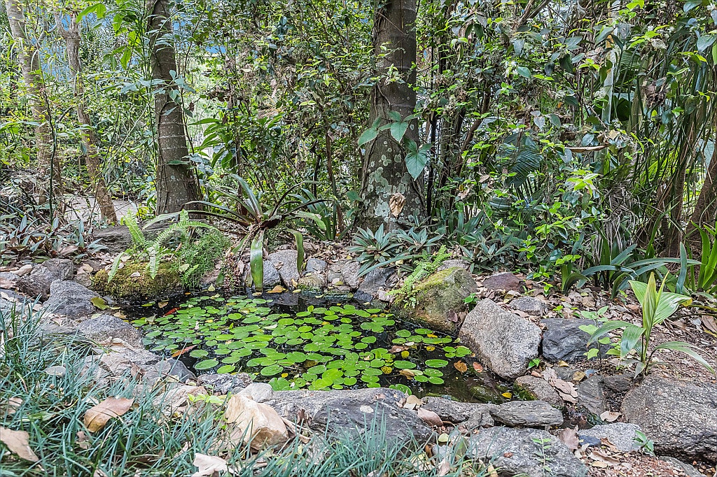nature