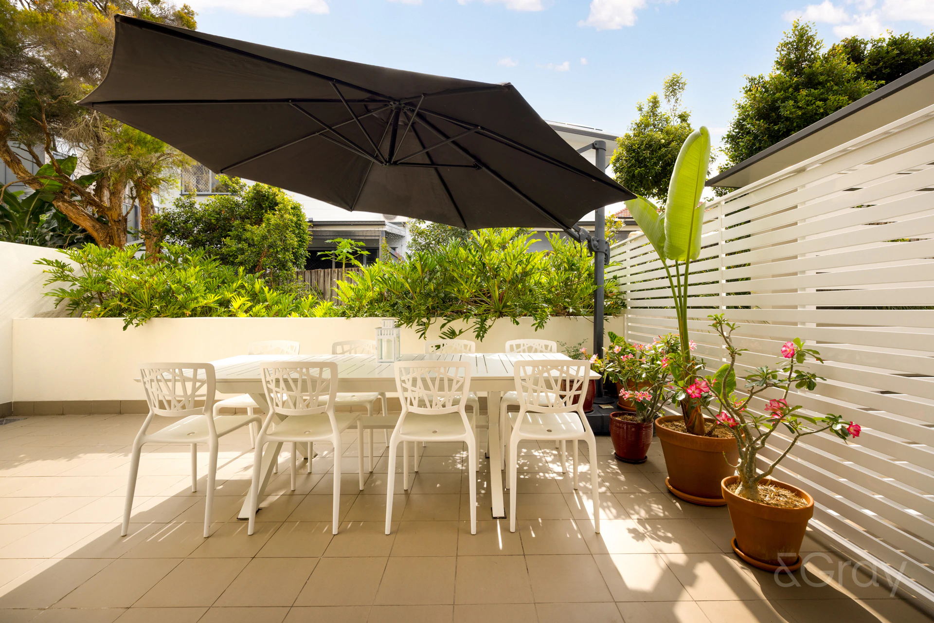 terrace