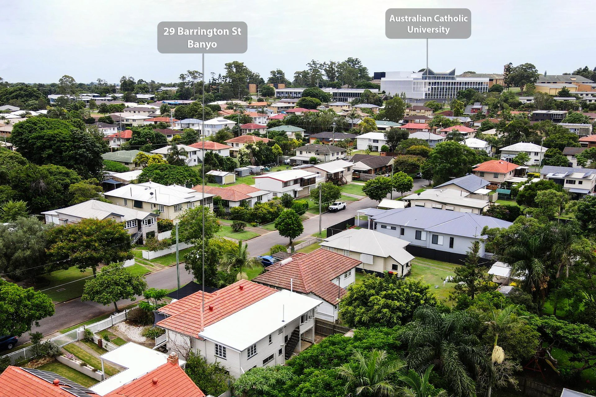 neighborhood