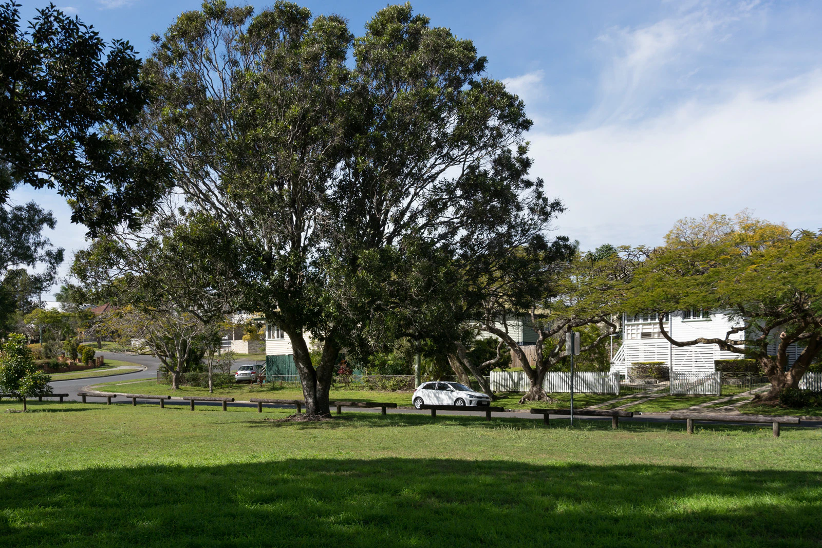 grass
