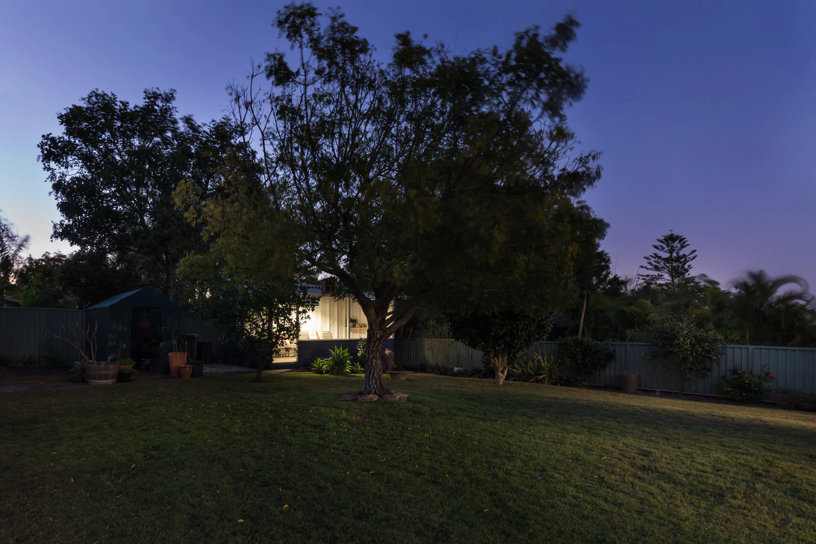 backyard