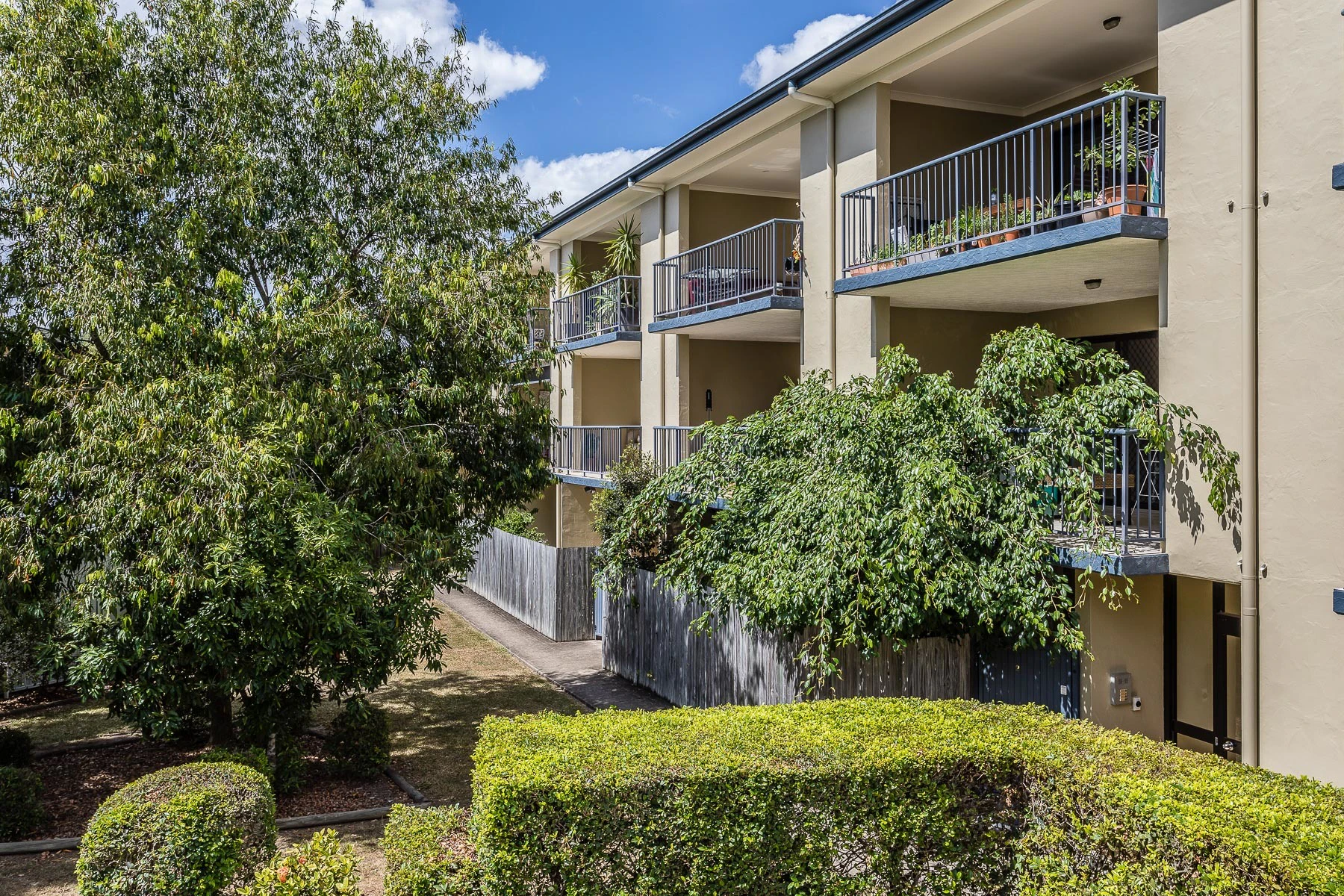 city