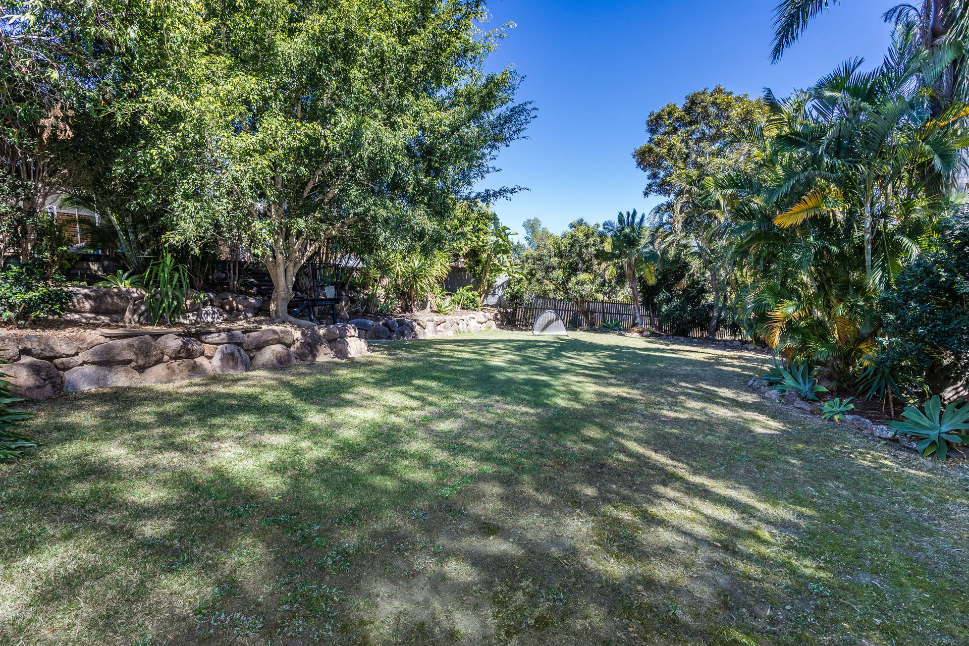 vegetation
