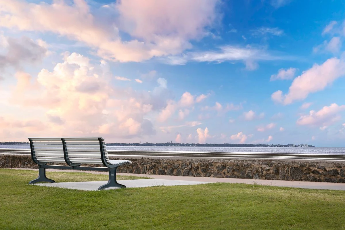 bench