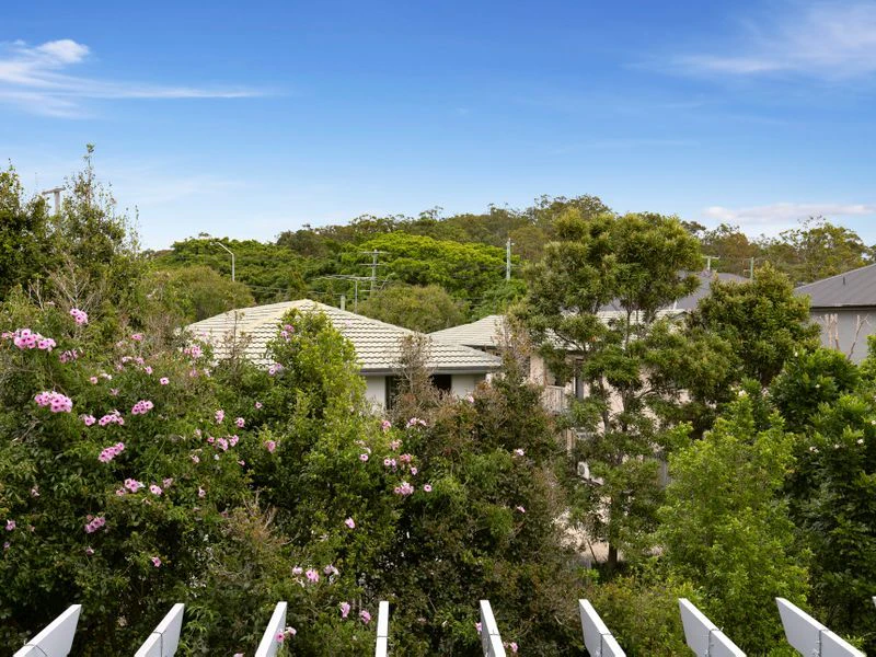 vegetation