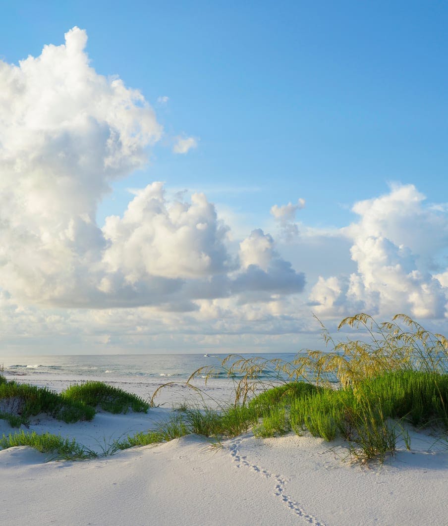white sand beach