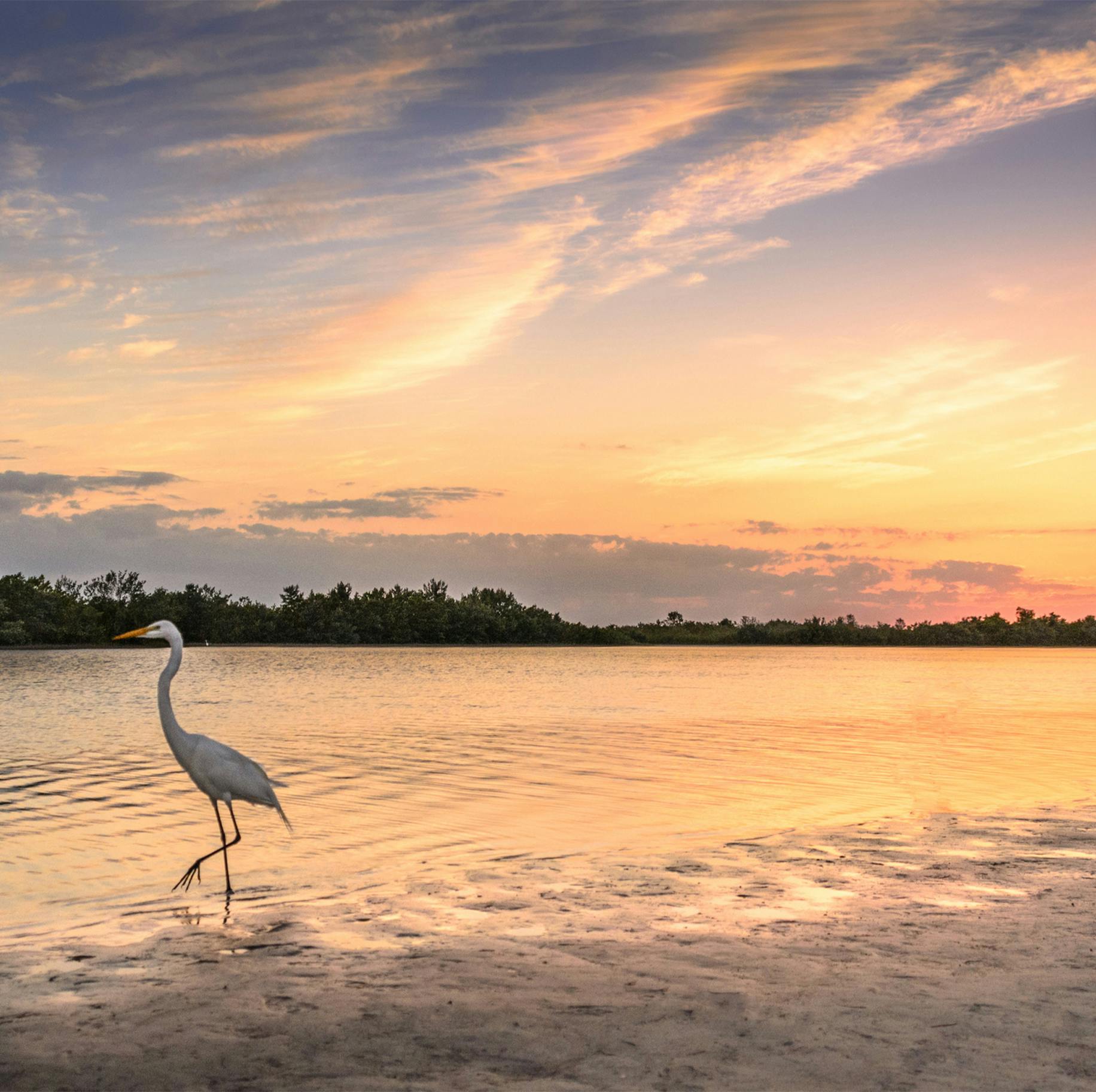 crane on beach at sunset