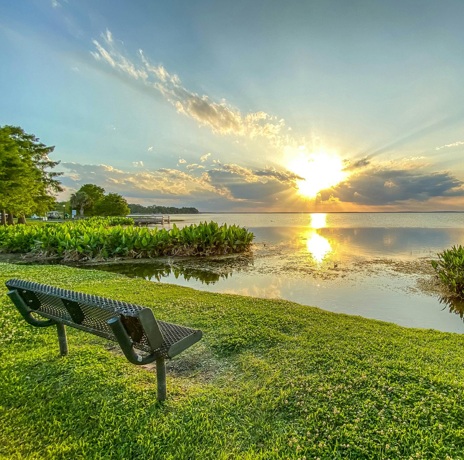 bench near sunset over lake