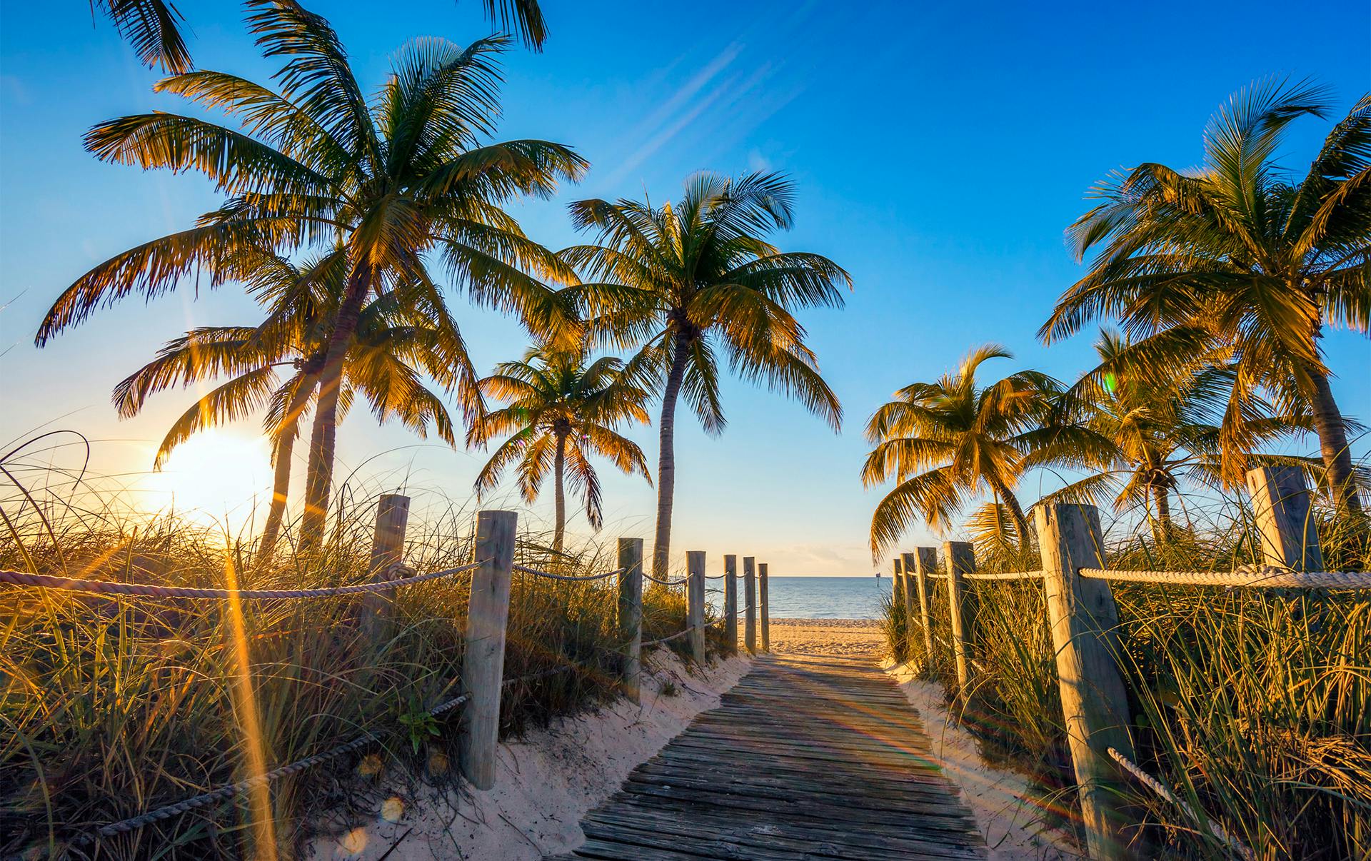 Path going down to the beach