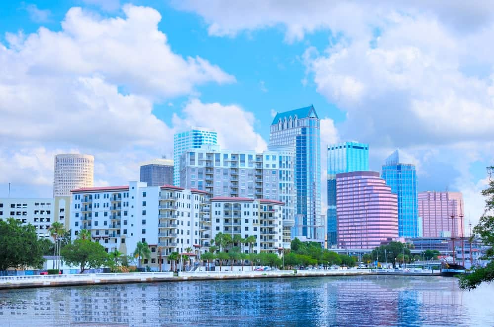 south tampa
