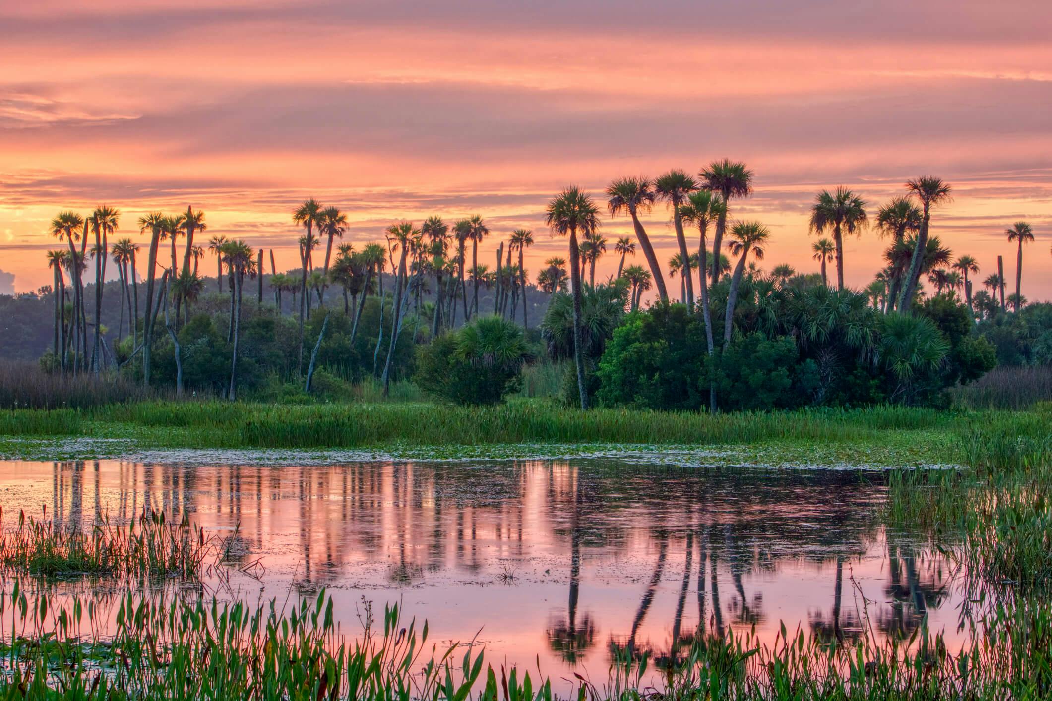 lake nona