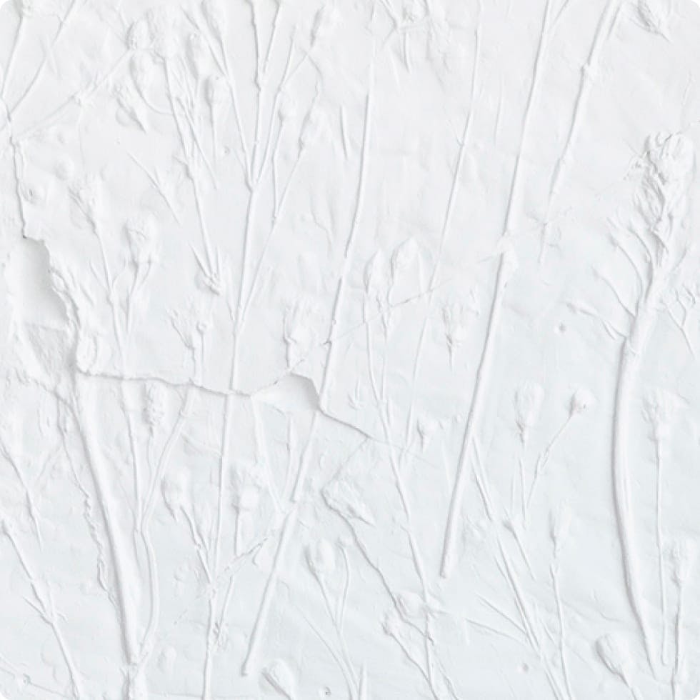 Artistic raised white plants on a white background