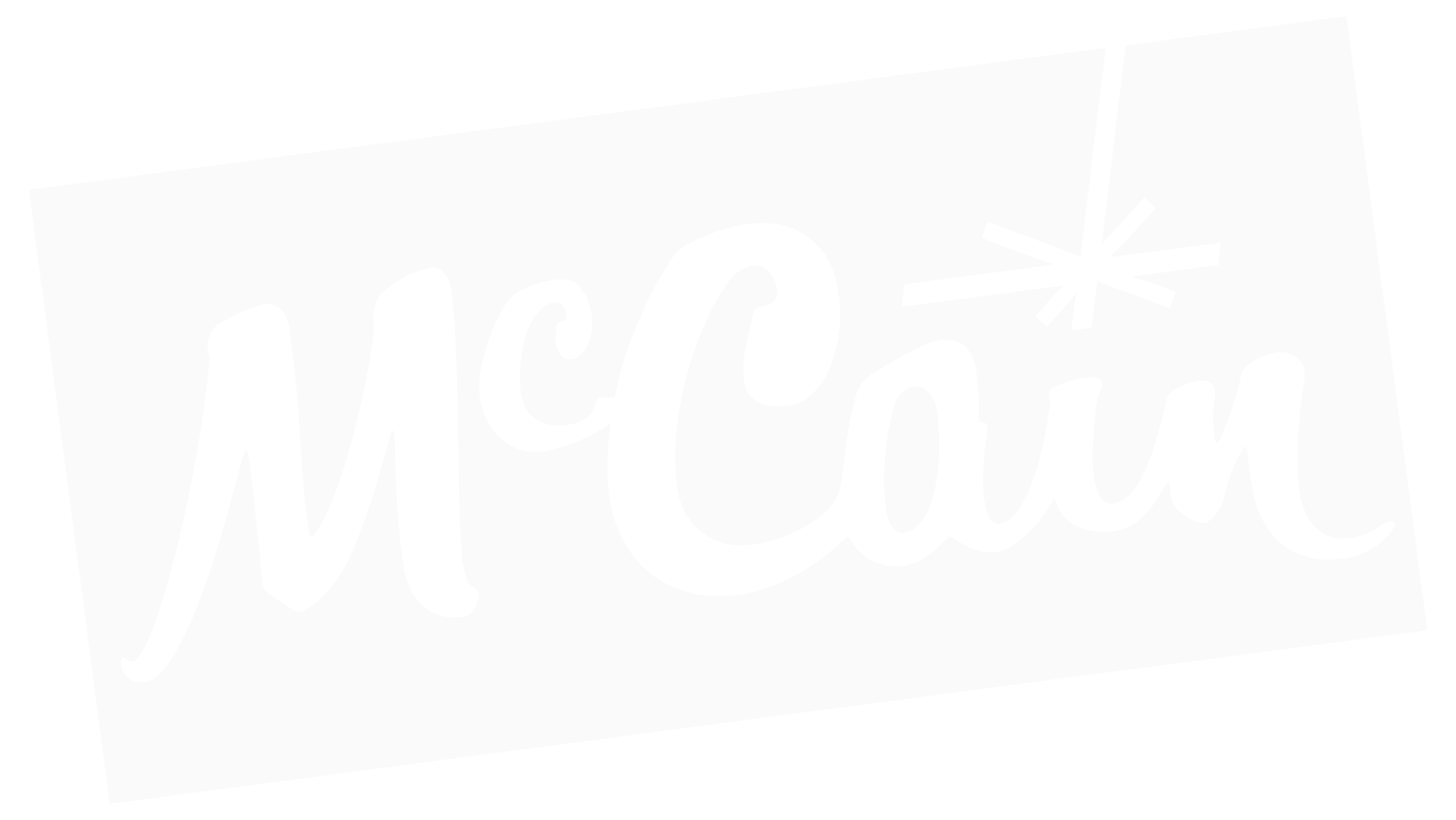 White McCain logo