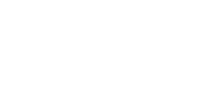 White KPMG Logo