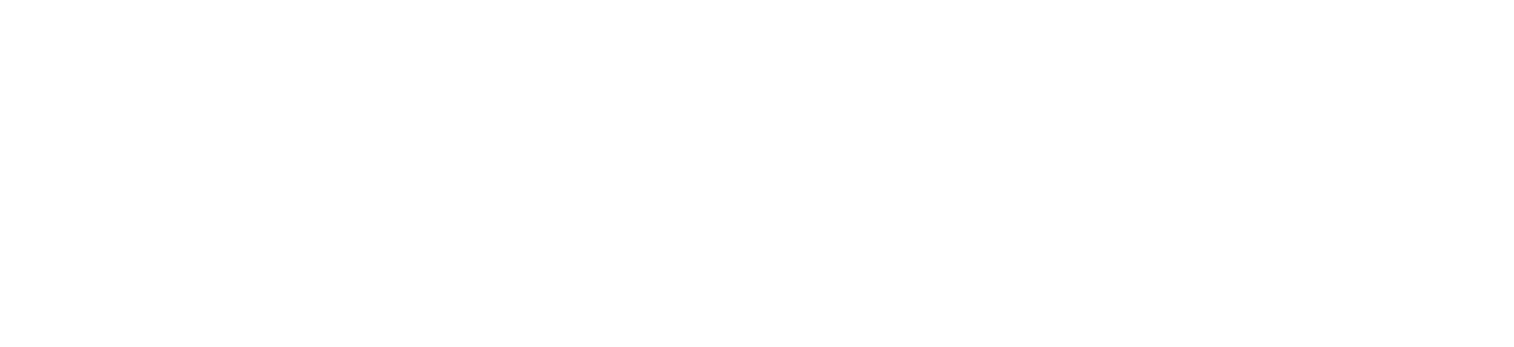 white Navex logo