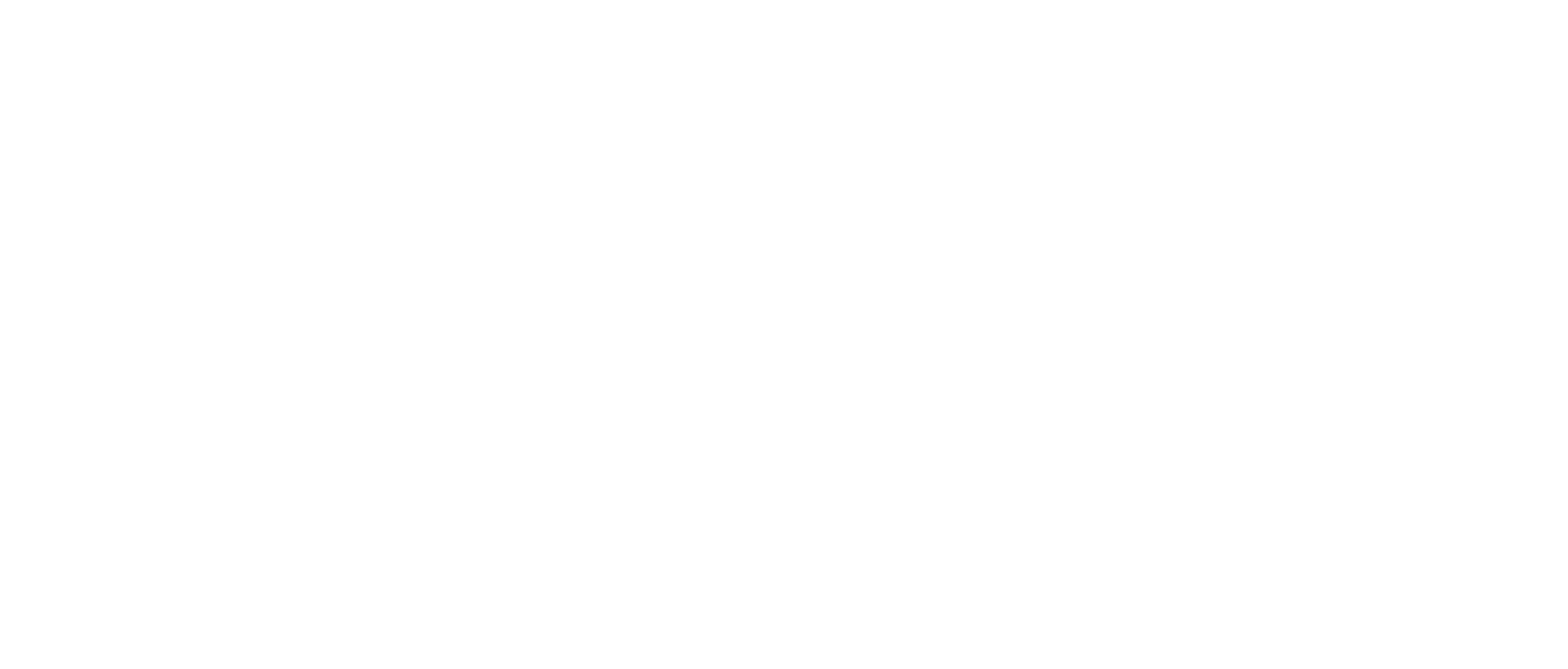White DNV Company Logo