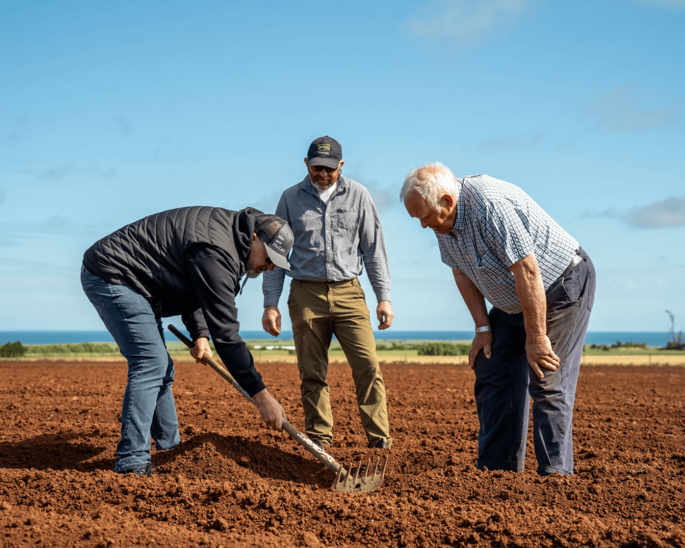 Three men—one elderly, two middle-aged—stand in a red soil field overlooking the ocean, inspecting potatoes. The image captures intergenerational farming and local crop management in McCain’s sustainable food supply.