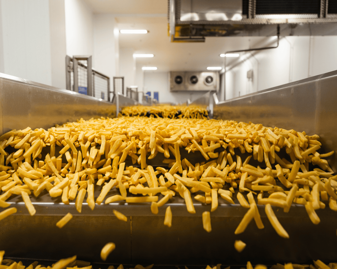 Chips on a conveyer belt