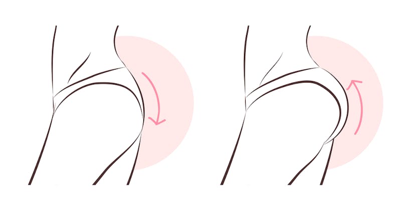 buttocks 