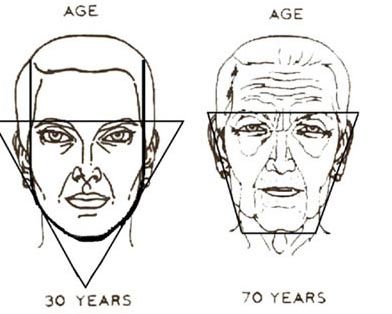 face comparison